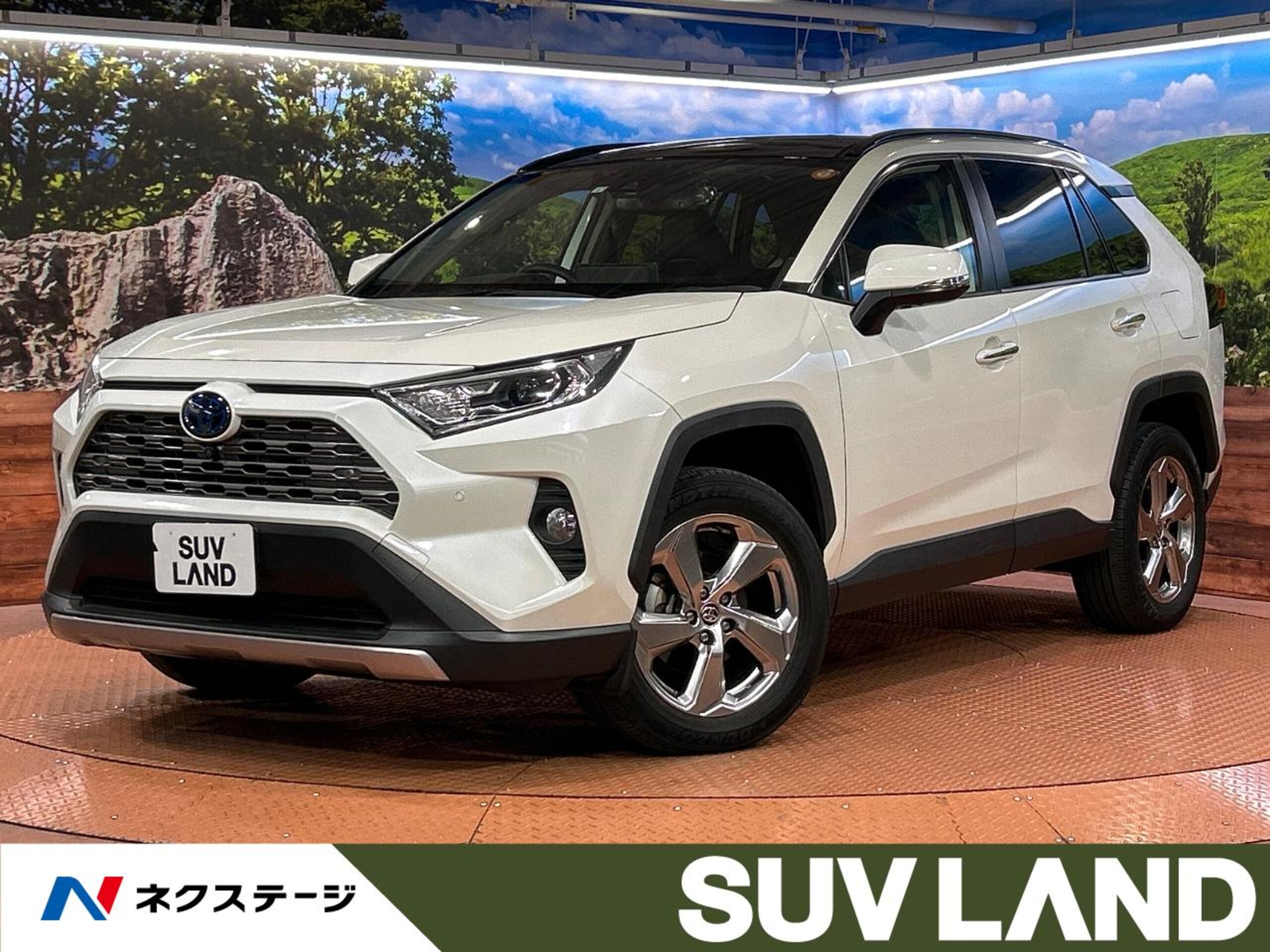 Toyota RAV4 2.5 Hybrid G E-Four 4WD