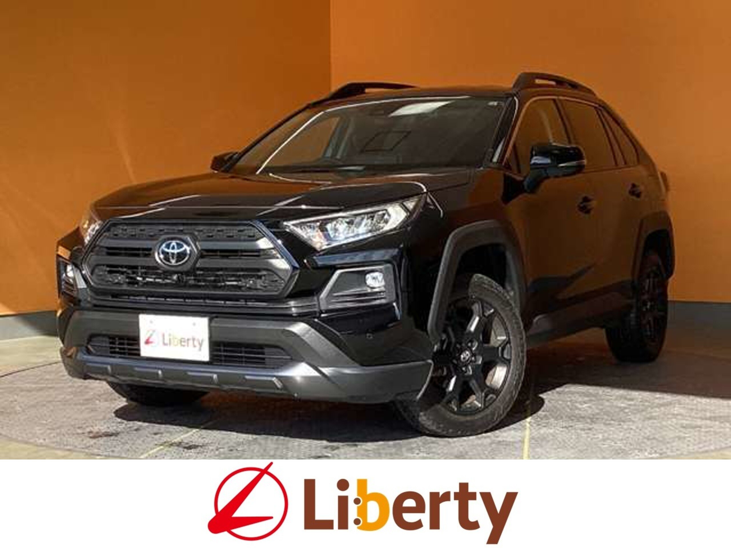 Toyota RAV4 2.0 Adventure Off-Road Package 4WD