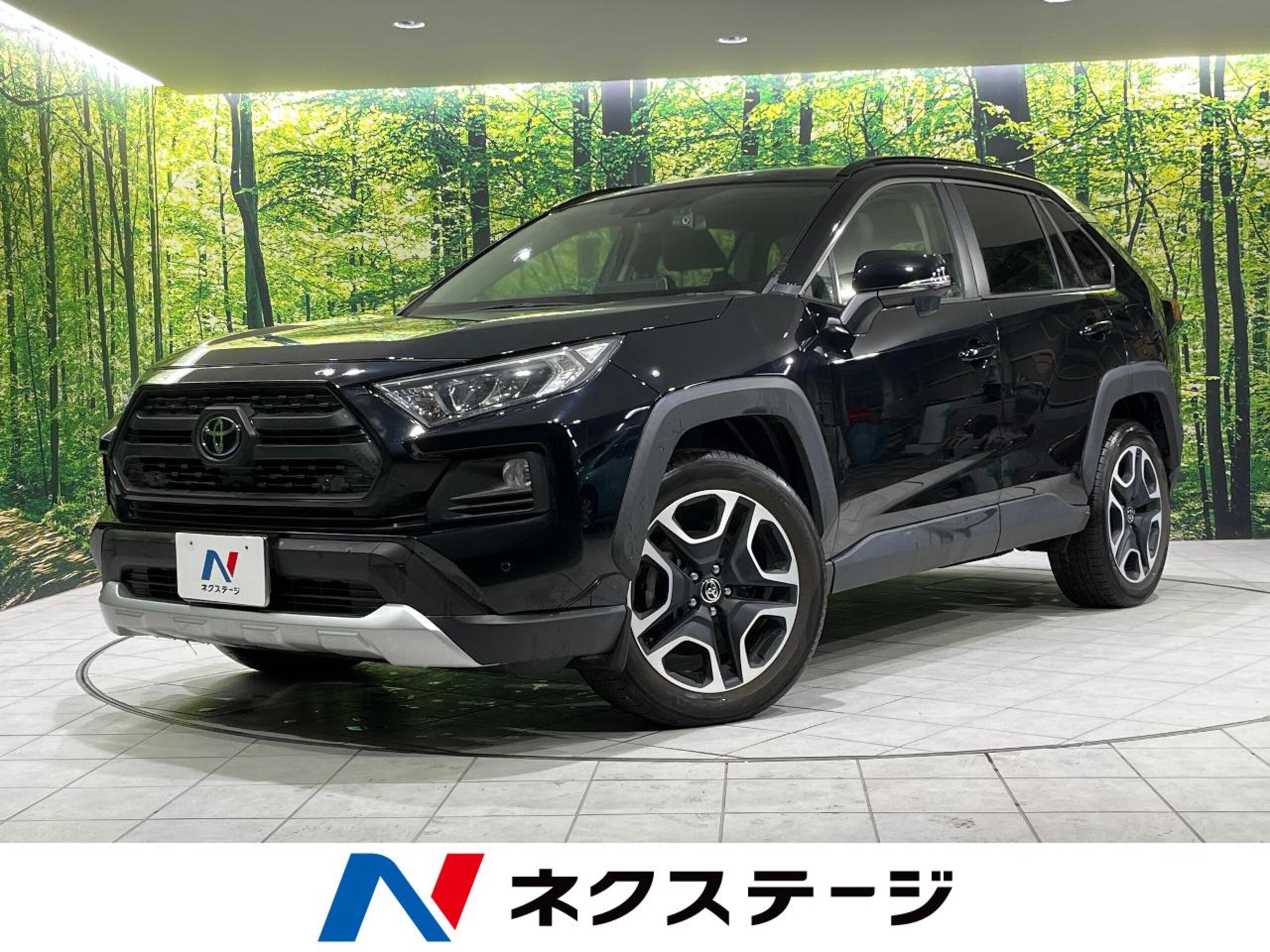 Toyota RAV4 2.0 Adventure 4WD