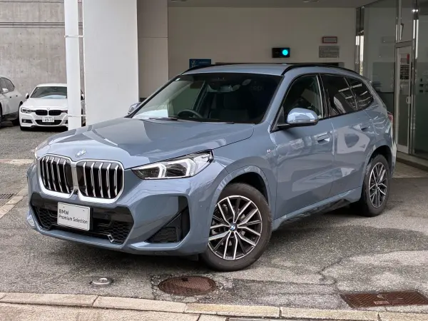 BMW X1 xDrive20d M Sport DCT Diesel Turbo 4WD