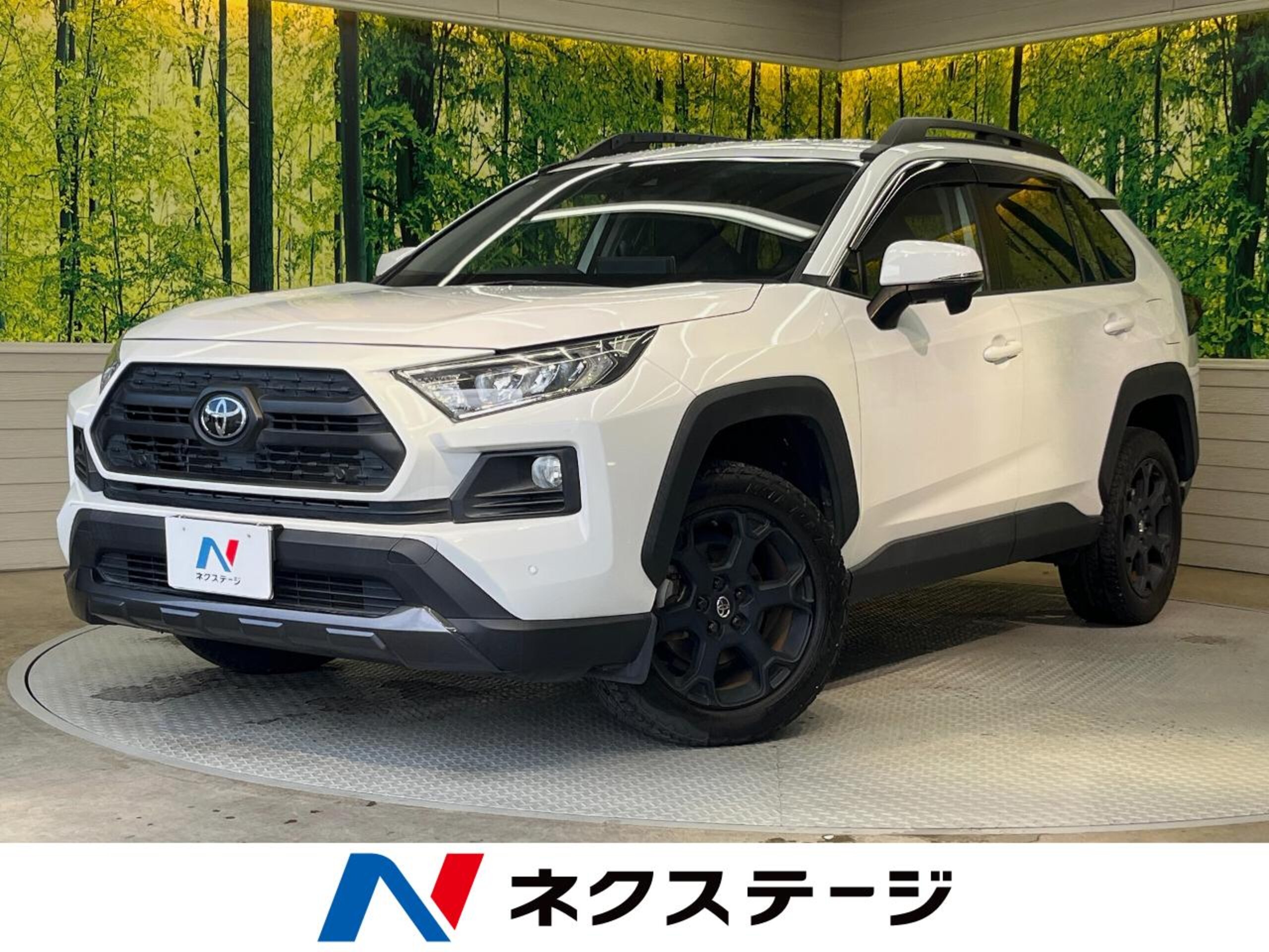 Toyota RAV4 2.0 Adventure Off-Road Package 4WD