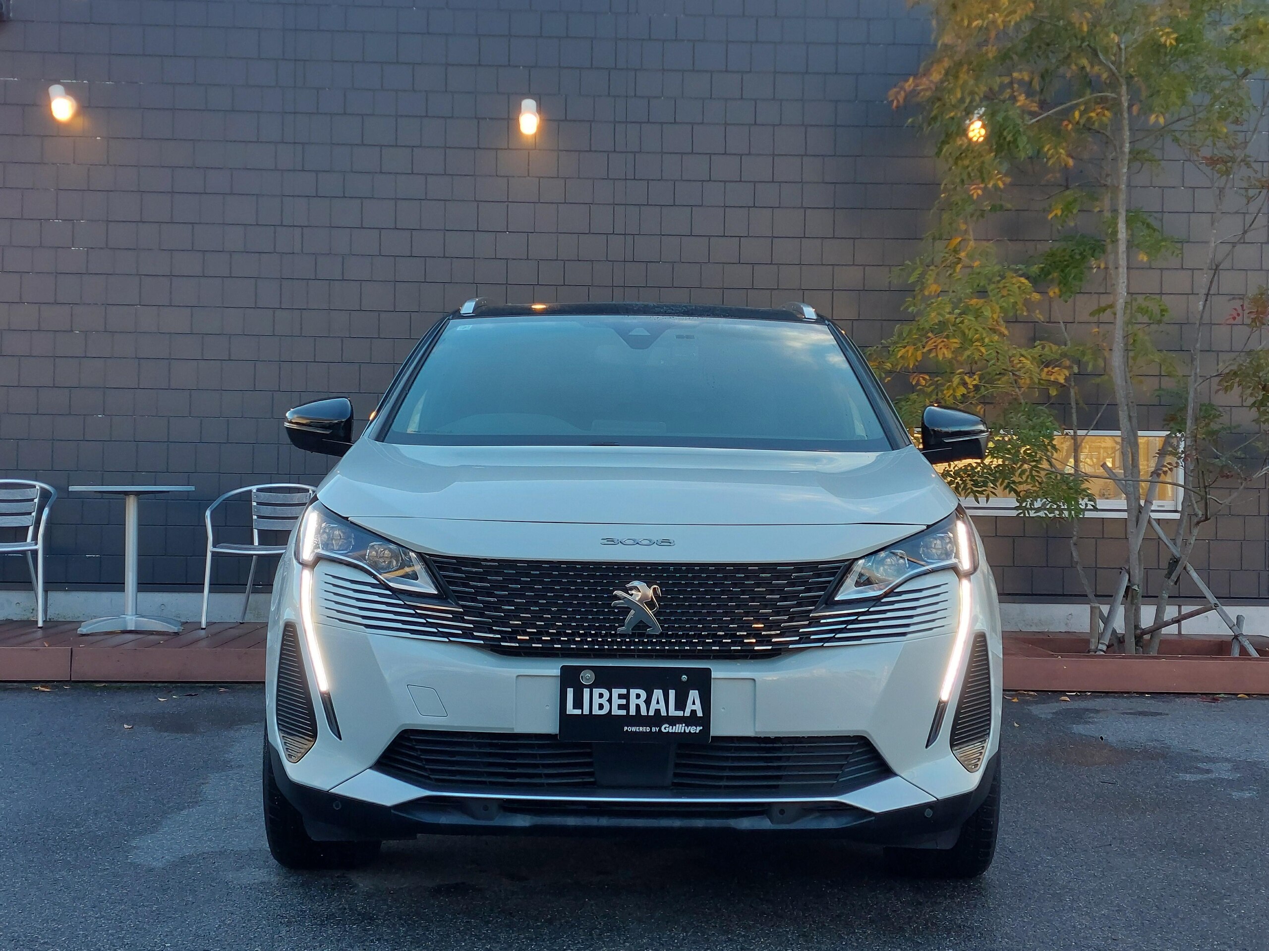 Peugeot 3008 GT BlueHDi Diesel Turbo — photo 7