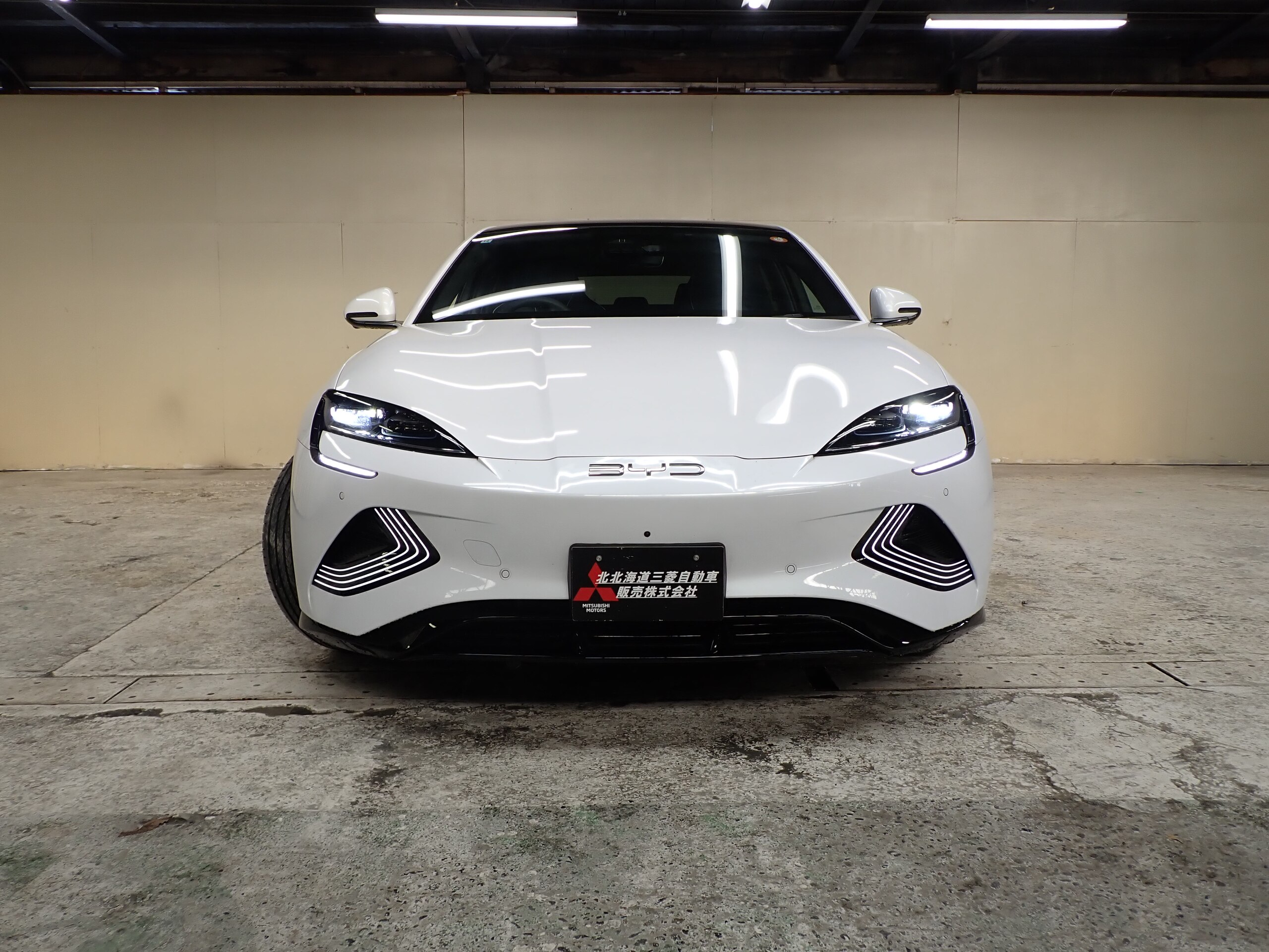 BYD Seal AWD Panoramic Glass Roof 15.6-inch Screen (Pearl) — photo 7