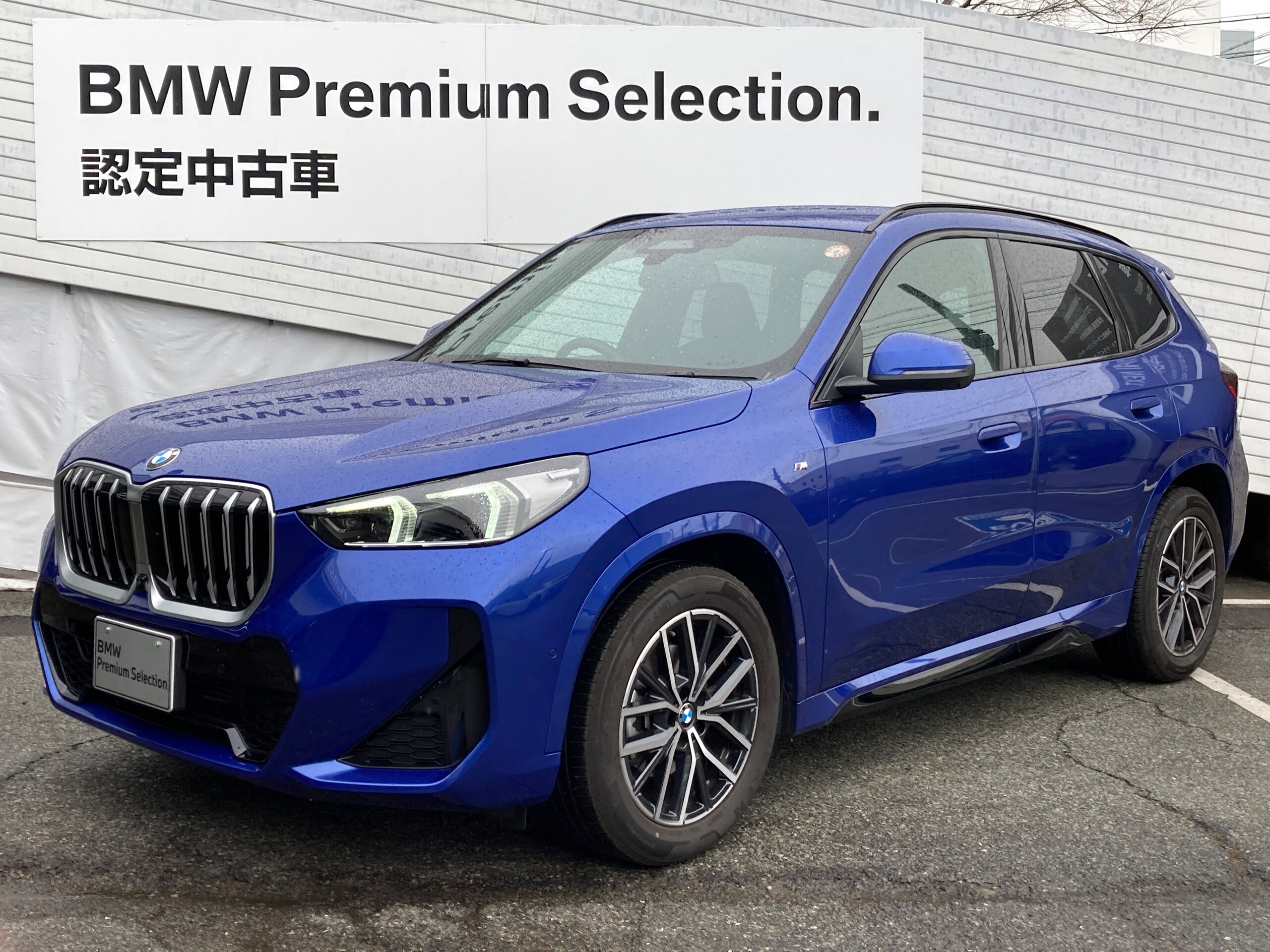 BMW X1 sDrive18i M Sport DCT Demo Car