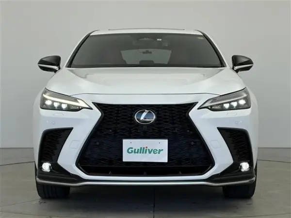 Lexus NX 450h+ F Sport 4WD — photo 8