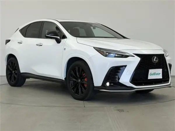 Lexus NX 450h+ F Sport 4WD — photo 9