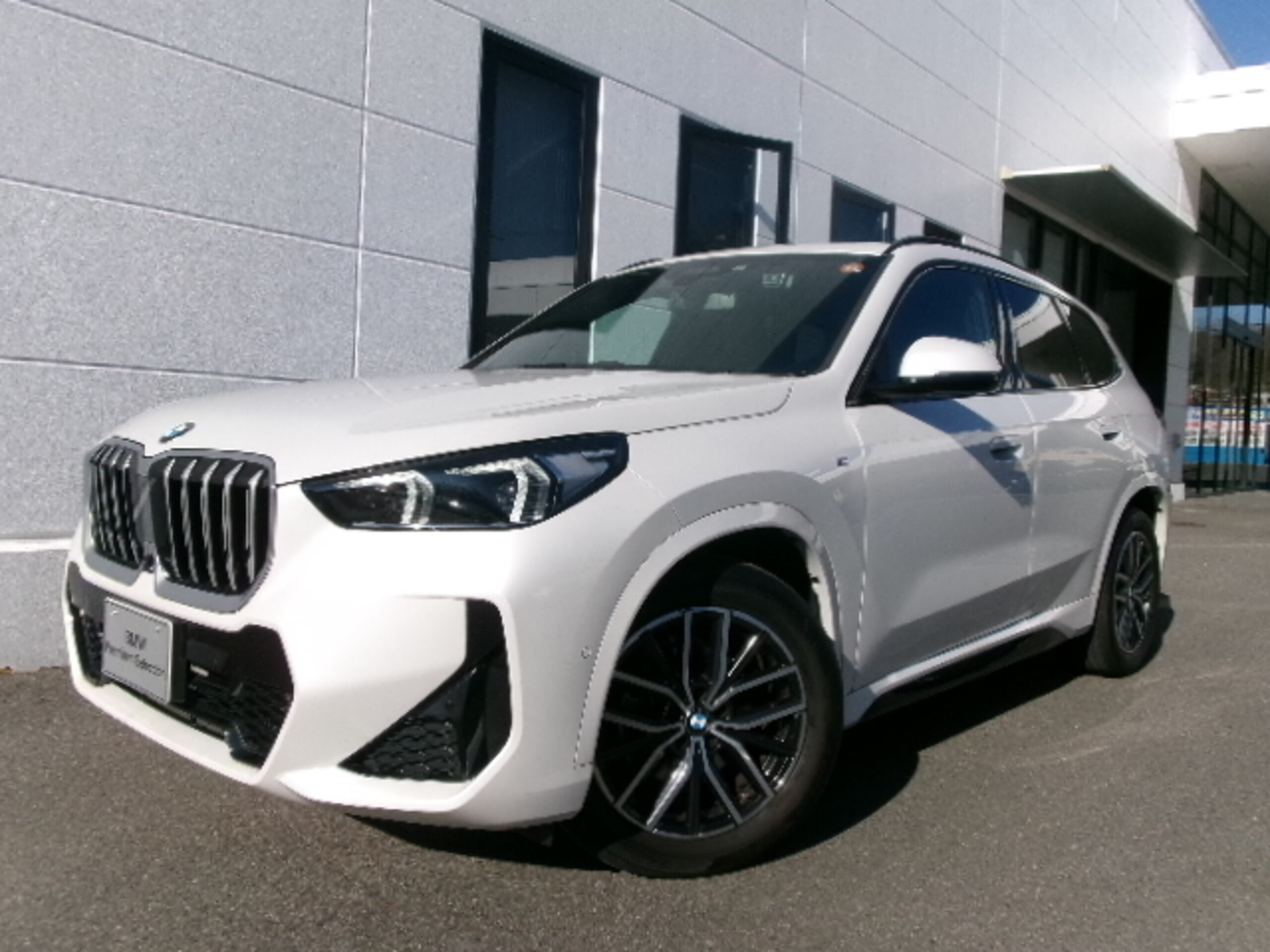 BMW X1 xDrive20i M Sport DCT 4WD