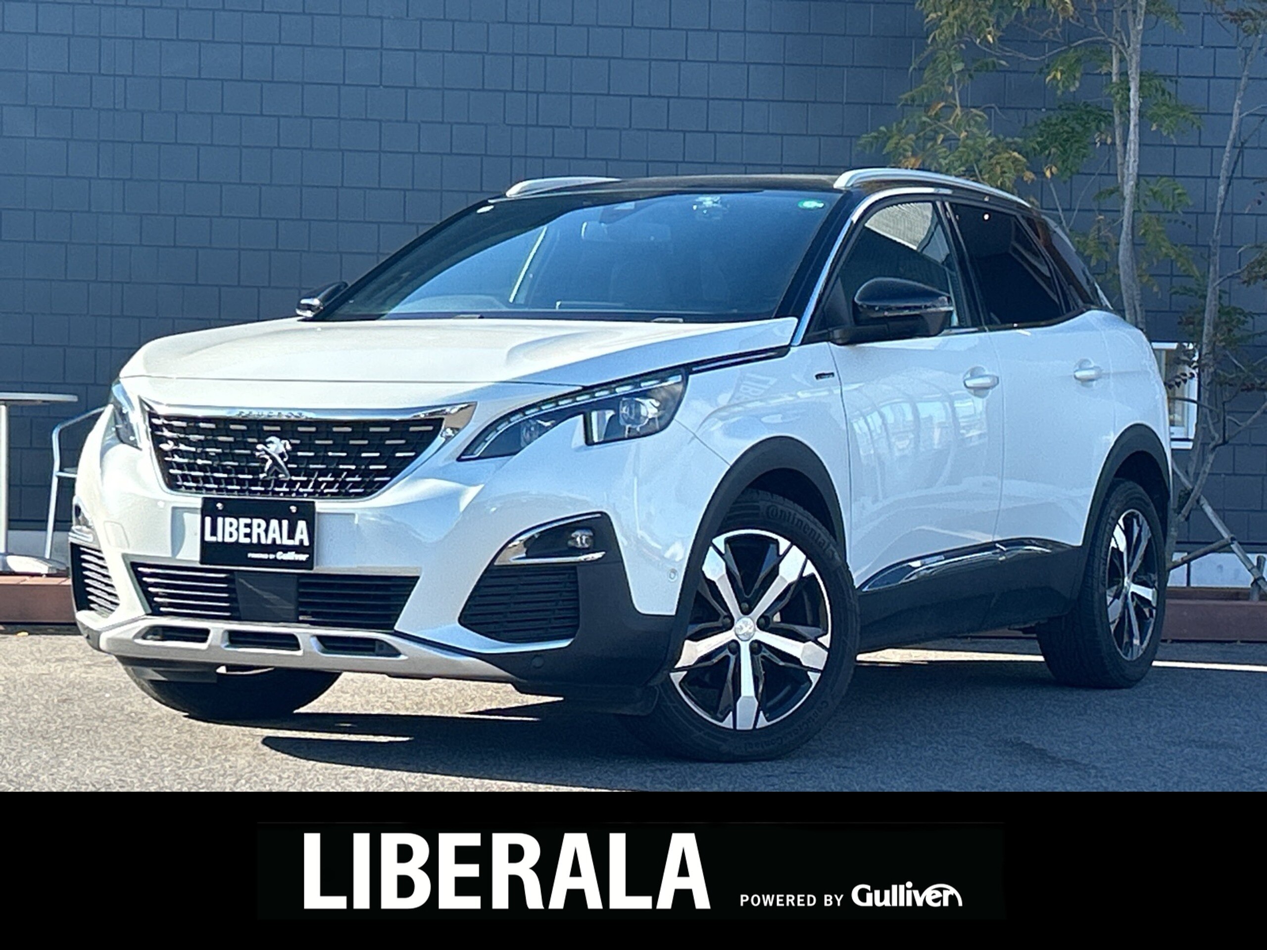 Peugeot 3008 GT BlueHDi Diesel Turbo Panoramic Sunroof Apple CarPlay Foot Trunk Opener Rear Camera Side Camera Intelligent High Beam Seat Massage Power Seat Seat Heater ACC (Nacre White)