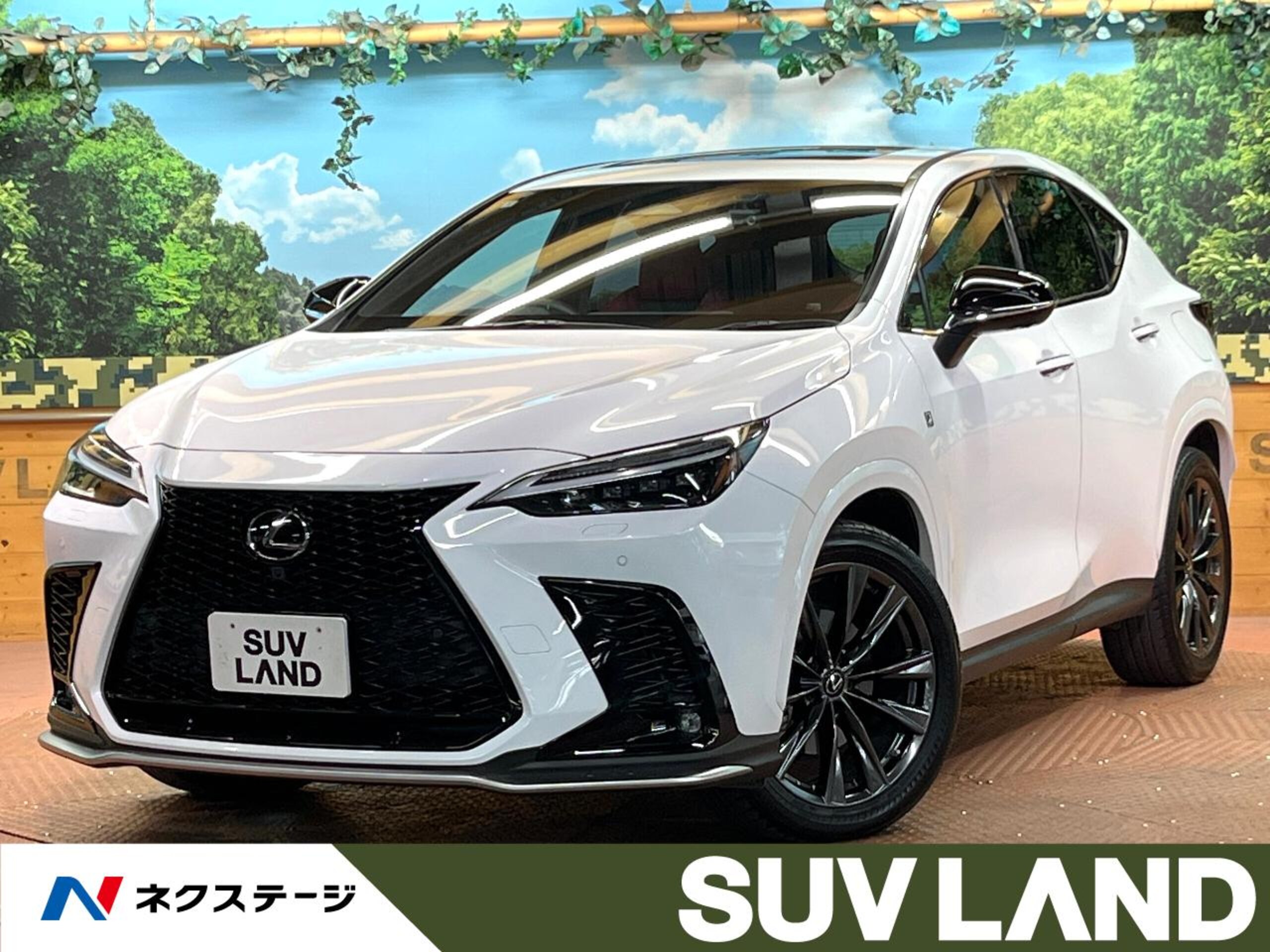 Lexus NX 450h+ F Sport 4WD
