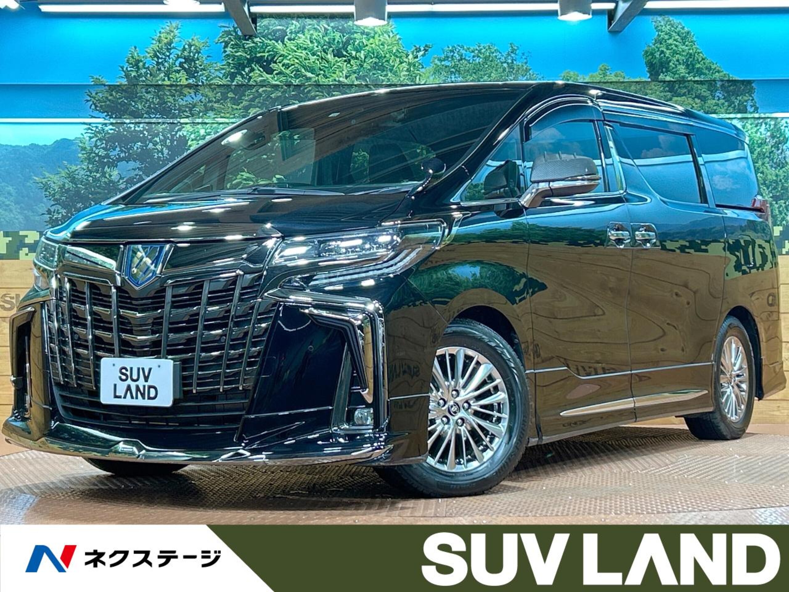 Toyota Alphard Hybrid 2.5 S Type Gold III E-Four 4WD