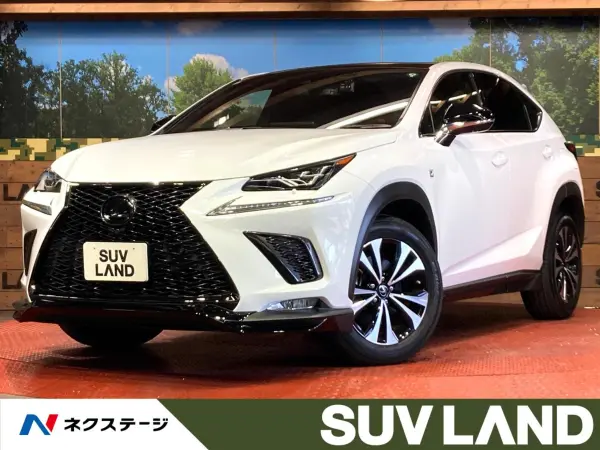 Lexus NX 300 F Sport
