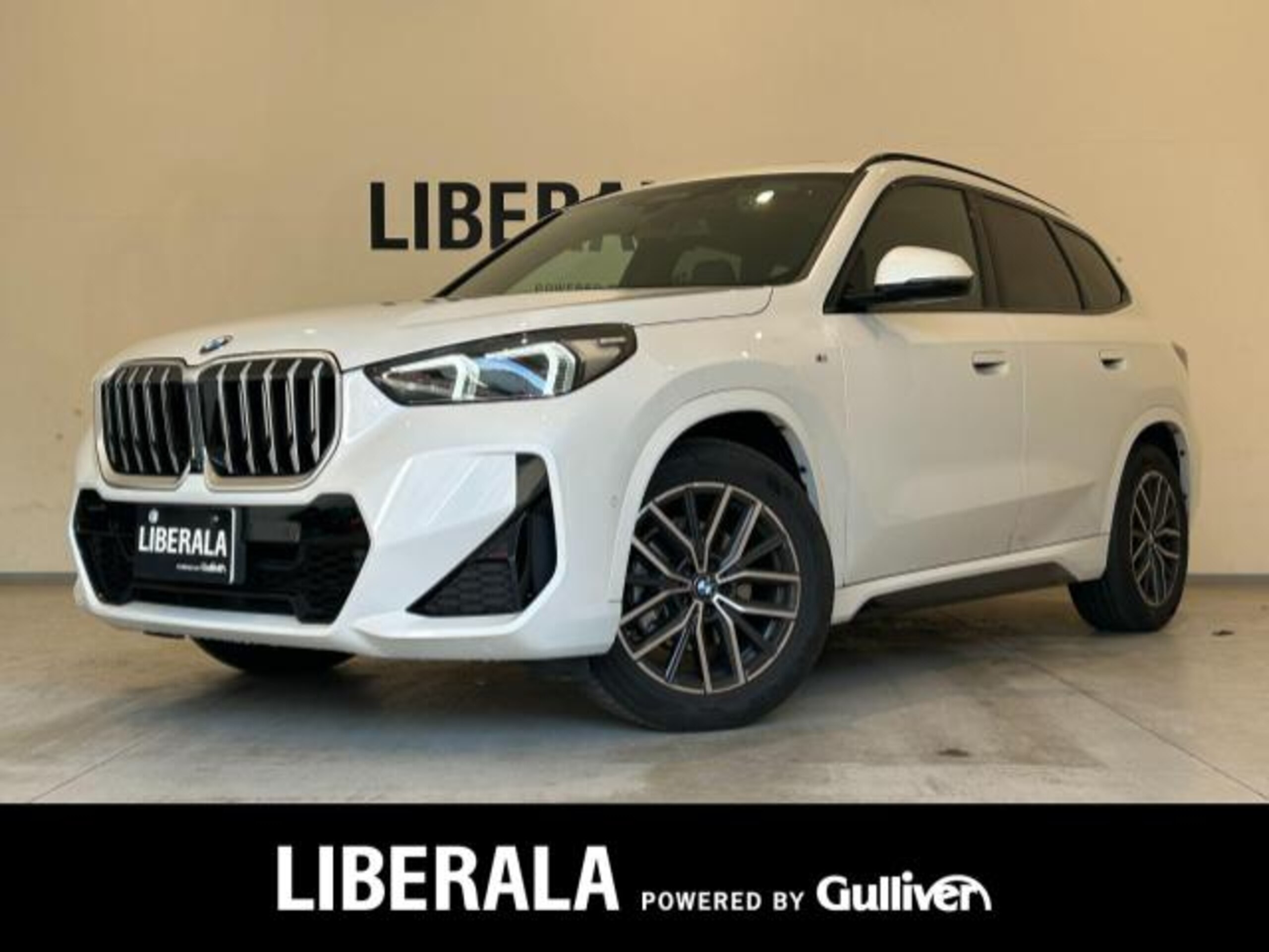 BMW X1 xDrive20d M Sport DCT Diesel Turbo 4WD