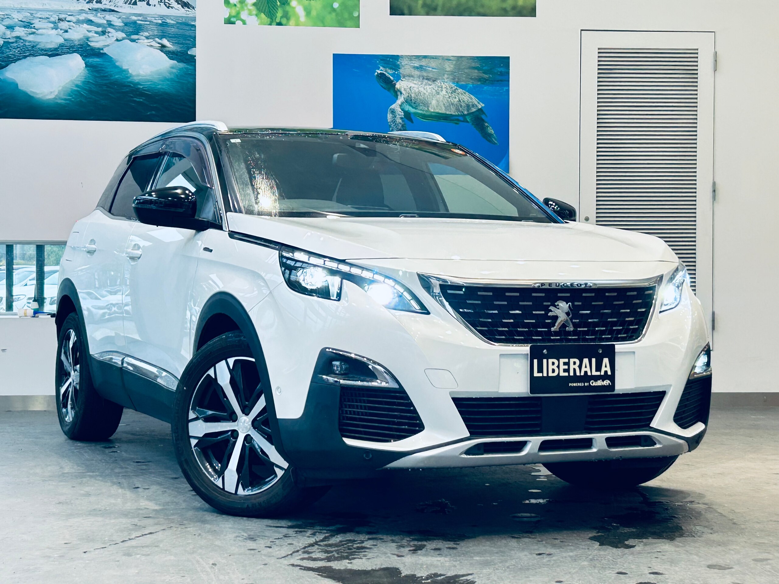 Peugeot 3008 GT Line BlueHDi Diesel Turbo — photo 7