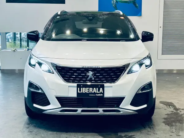 Peugeot 3008 GT Line BlueHDi Diesel Turbo ACC Genuine Navigation TV Back/Side Camera Apple CarPlay Genuine 18-inch AW LED Headlights Power Tailgate Wireless Charging BSM Half Leather D-Memory Power Seat Seat Heater Paddle Shift Roof Rail (Pearl White) — photo 8