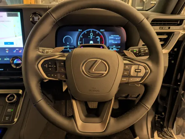 Lexus GX550 Version L 4WD (Graphite Black Glass Flake) — photo 8