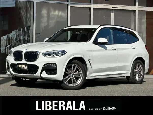 BMW X3 xDrive20d M Sport Diesel Turbo 4WD — thumbnail 1
