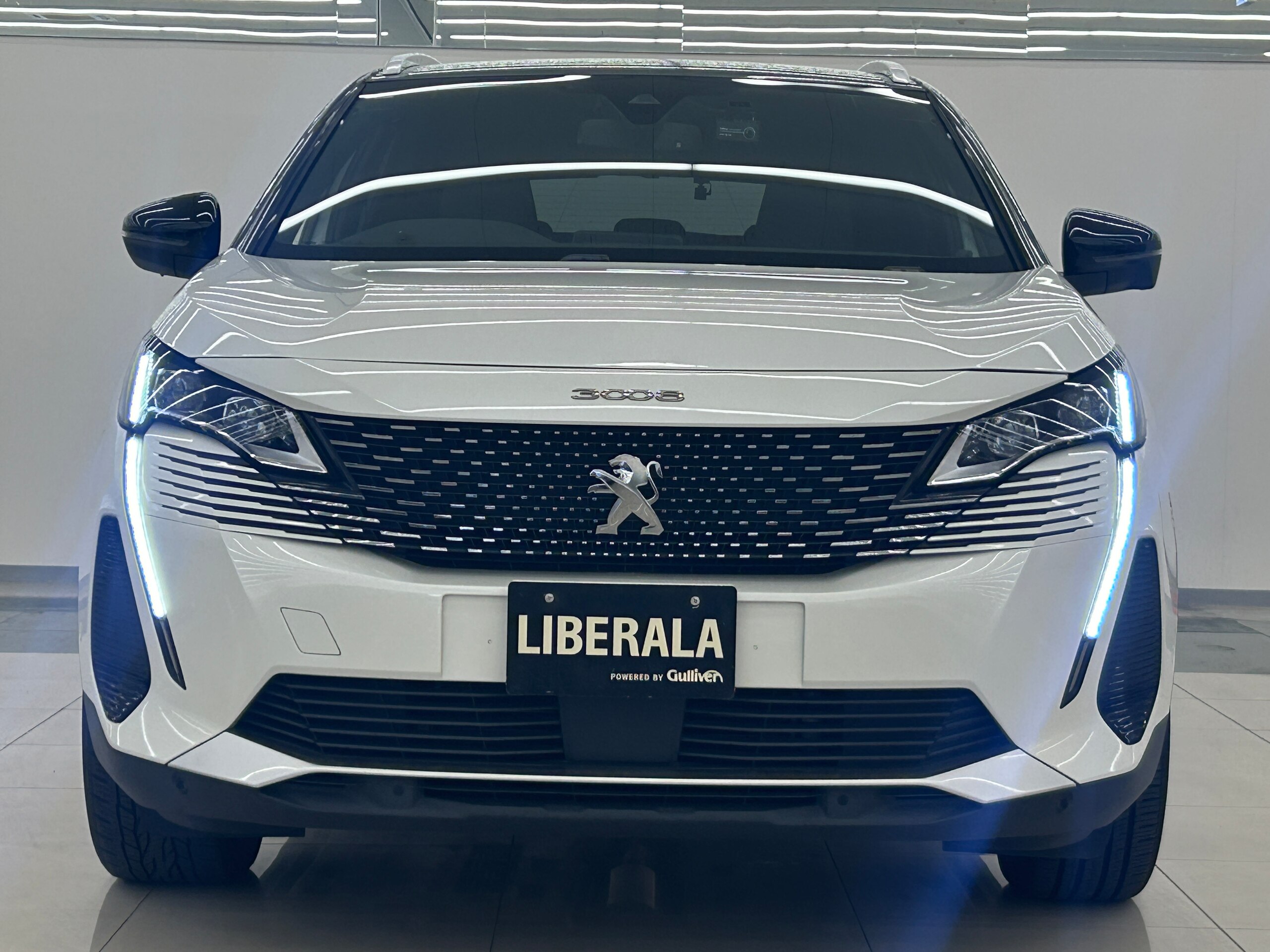 Peugeot 3008 GT BlueHDi Diesel Turbo — photo 9