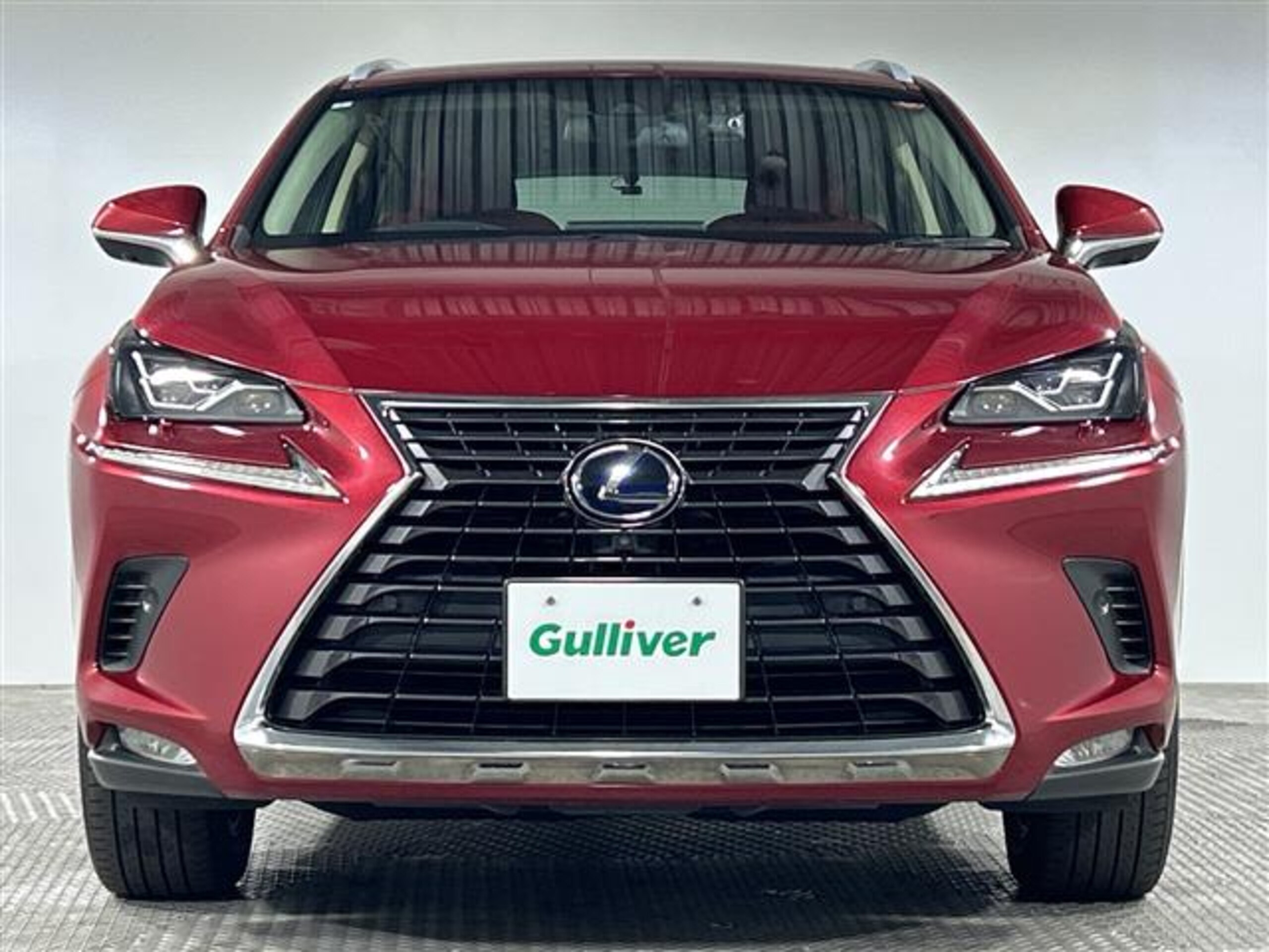 Lexus NX 300h Version L — photo 8