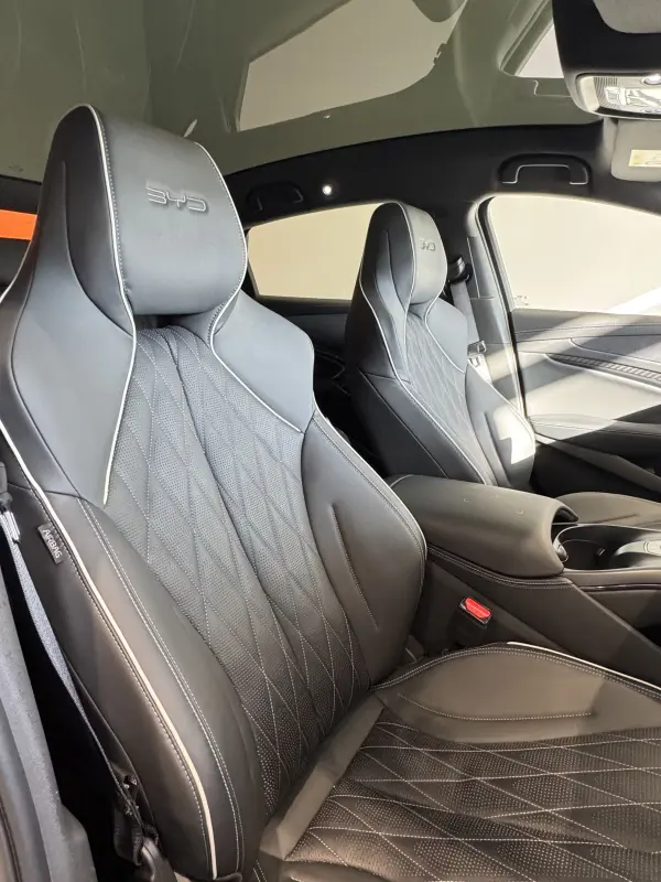 BYD Seal AWD (Cosmos Black) — photo 9
