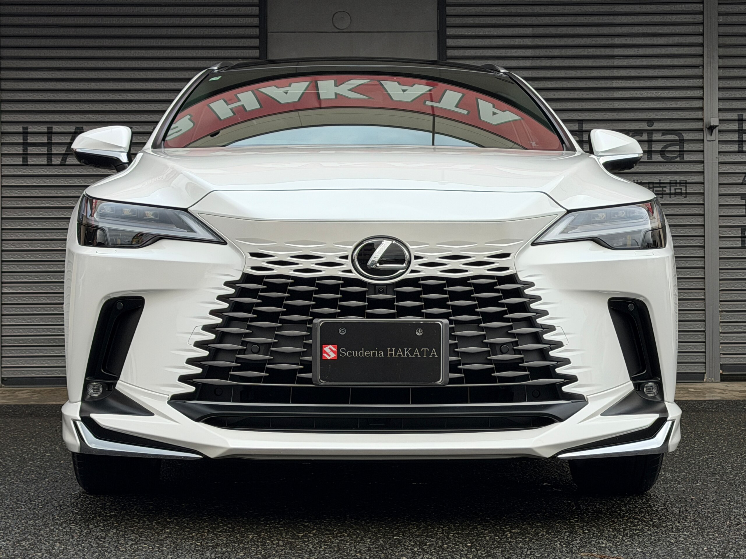 2025 Lexus Rx — photo 2