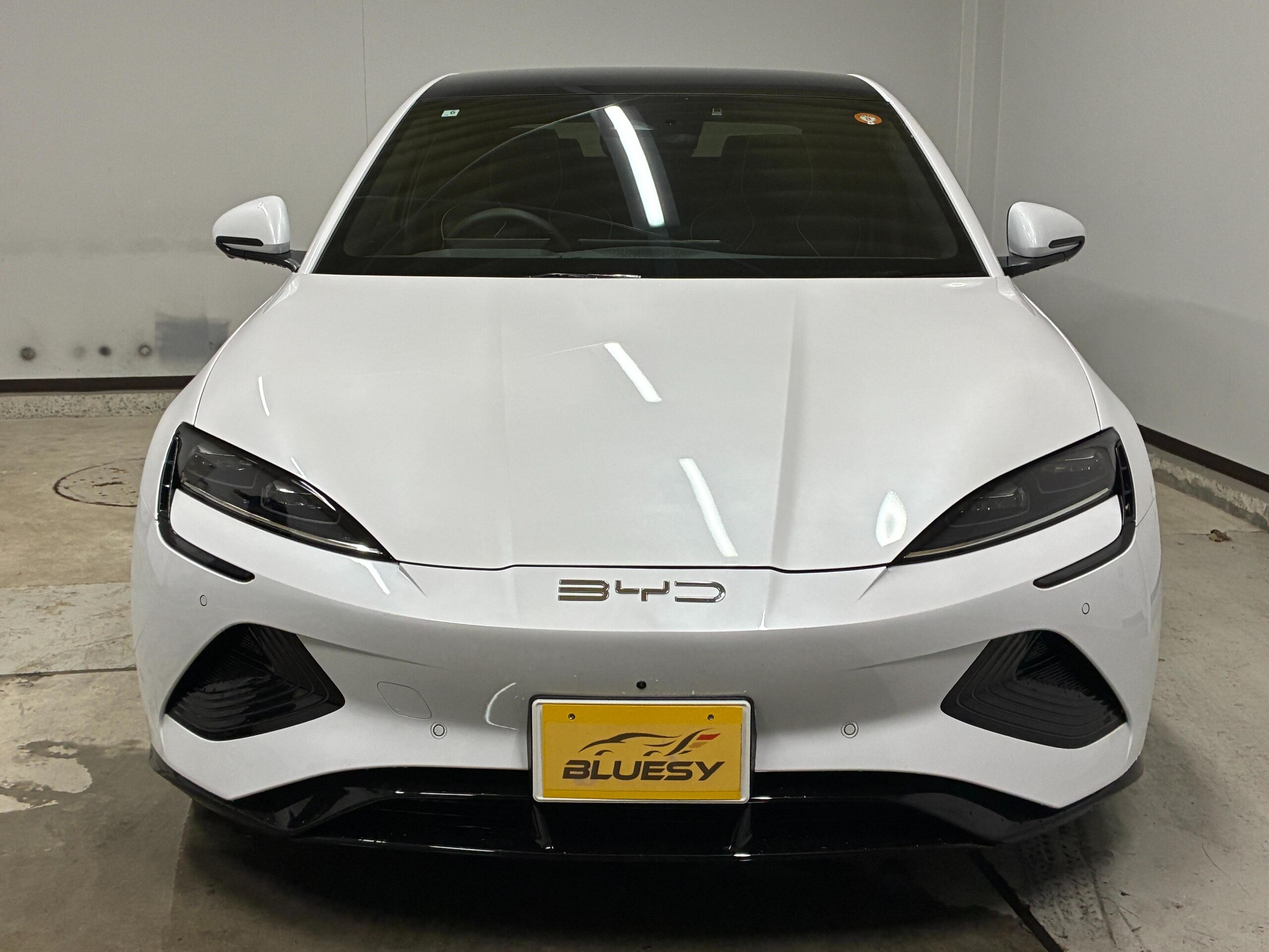 2025 Byd Seal — photo 3