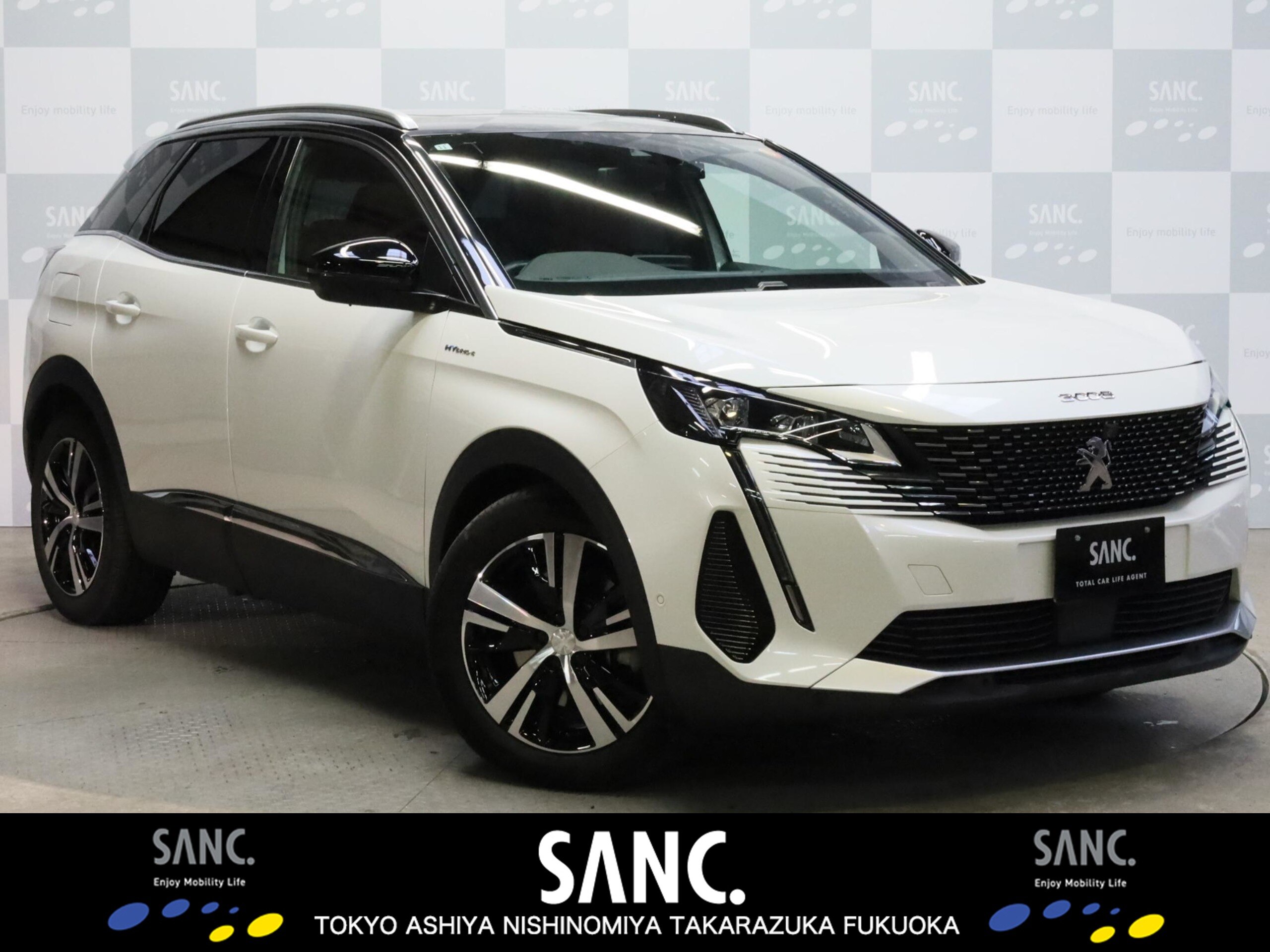 Peugeot 3008 GT Hybrid4 Red Nappa 4WD