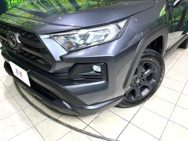 Toyota RAV4 2.0 Adventure Off-Road Package II 4WD — photo 8