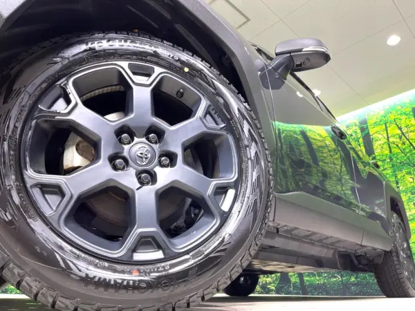 Toyota RAV4 2.0 Adventure Off-Road Package II 4WD — photo 9