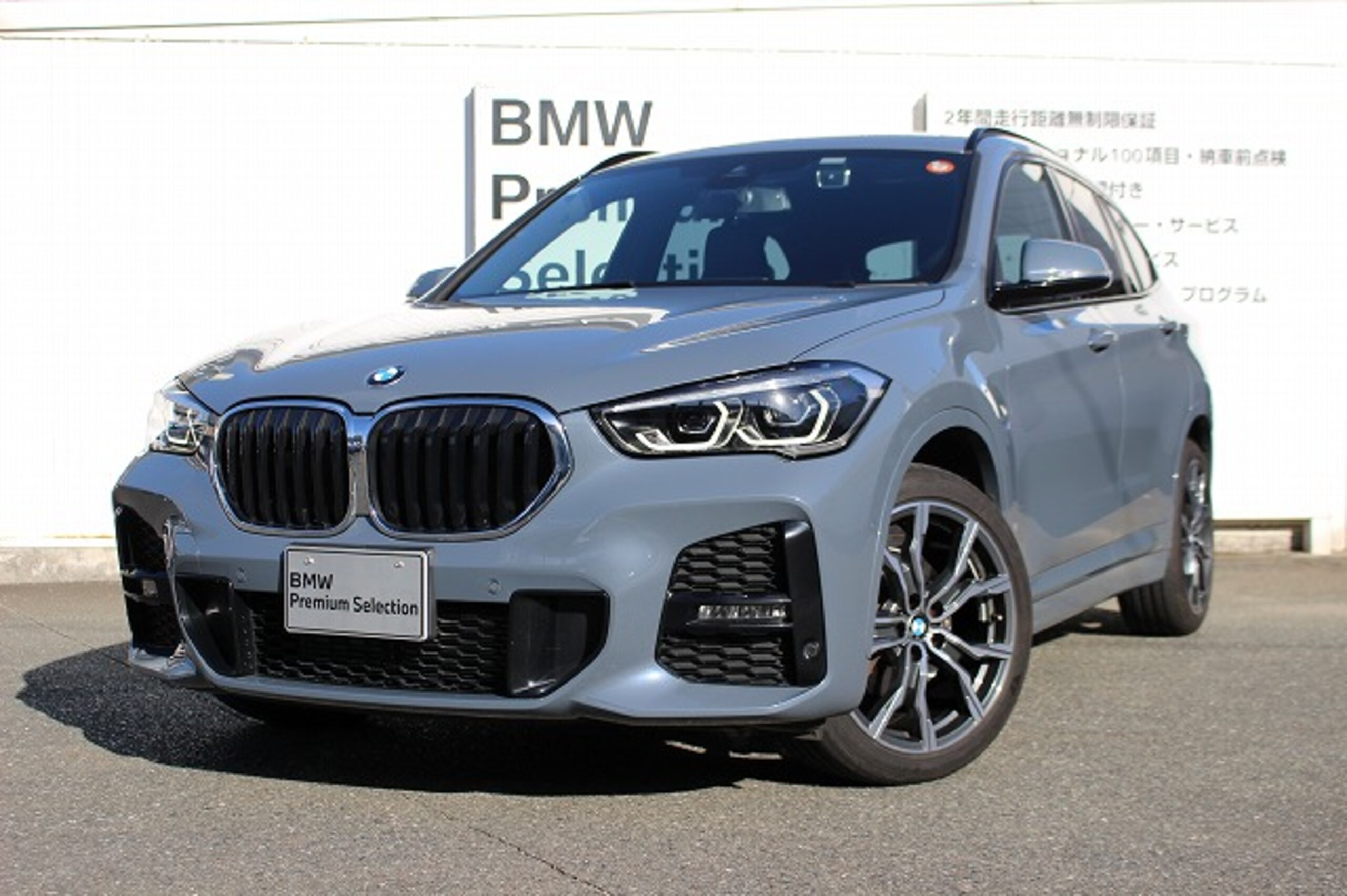 BMW X1 xDrive 18d M Sport 4WD