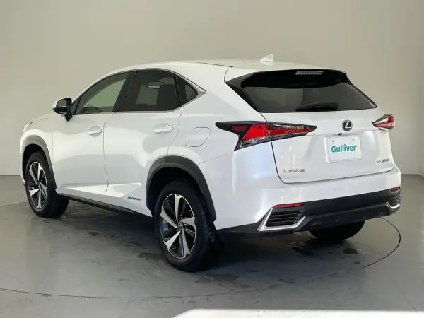2020 Lexus Nx — photo 3