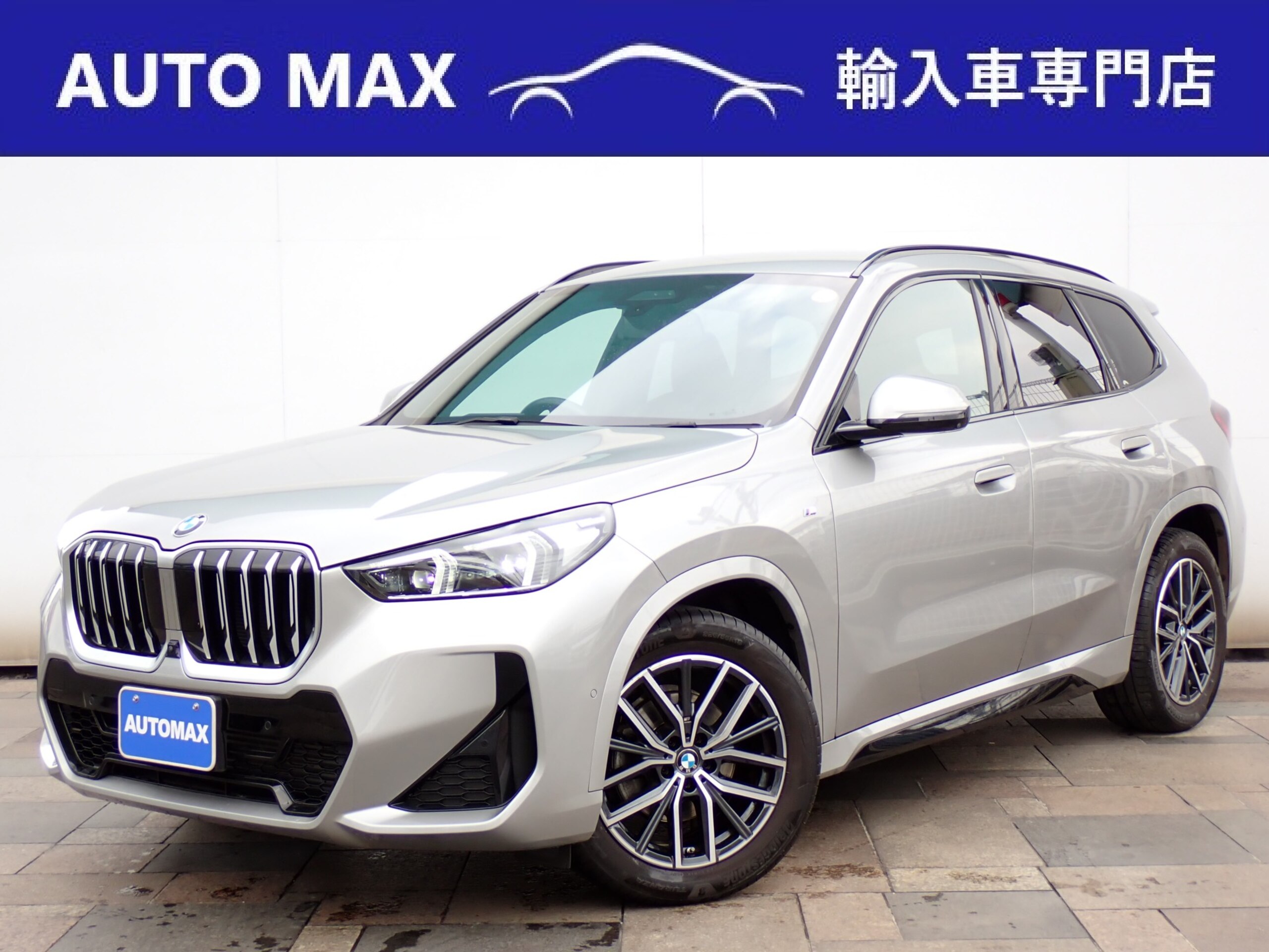 BMW X1 xDrive20i M Sport DCT 4WD