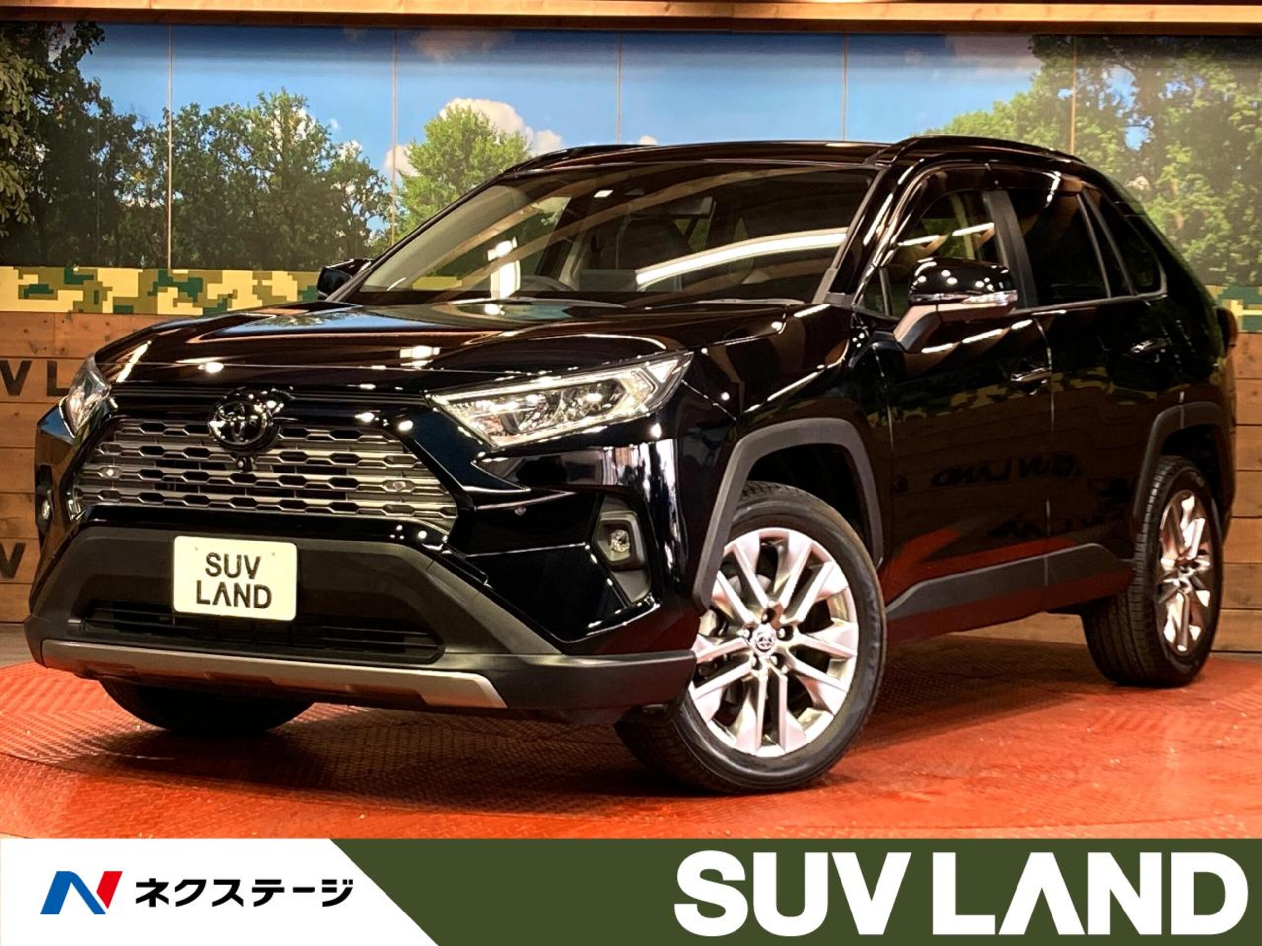 Toyota RAV4 2.0 G Z Package 4WD