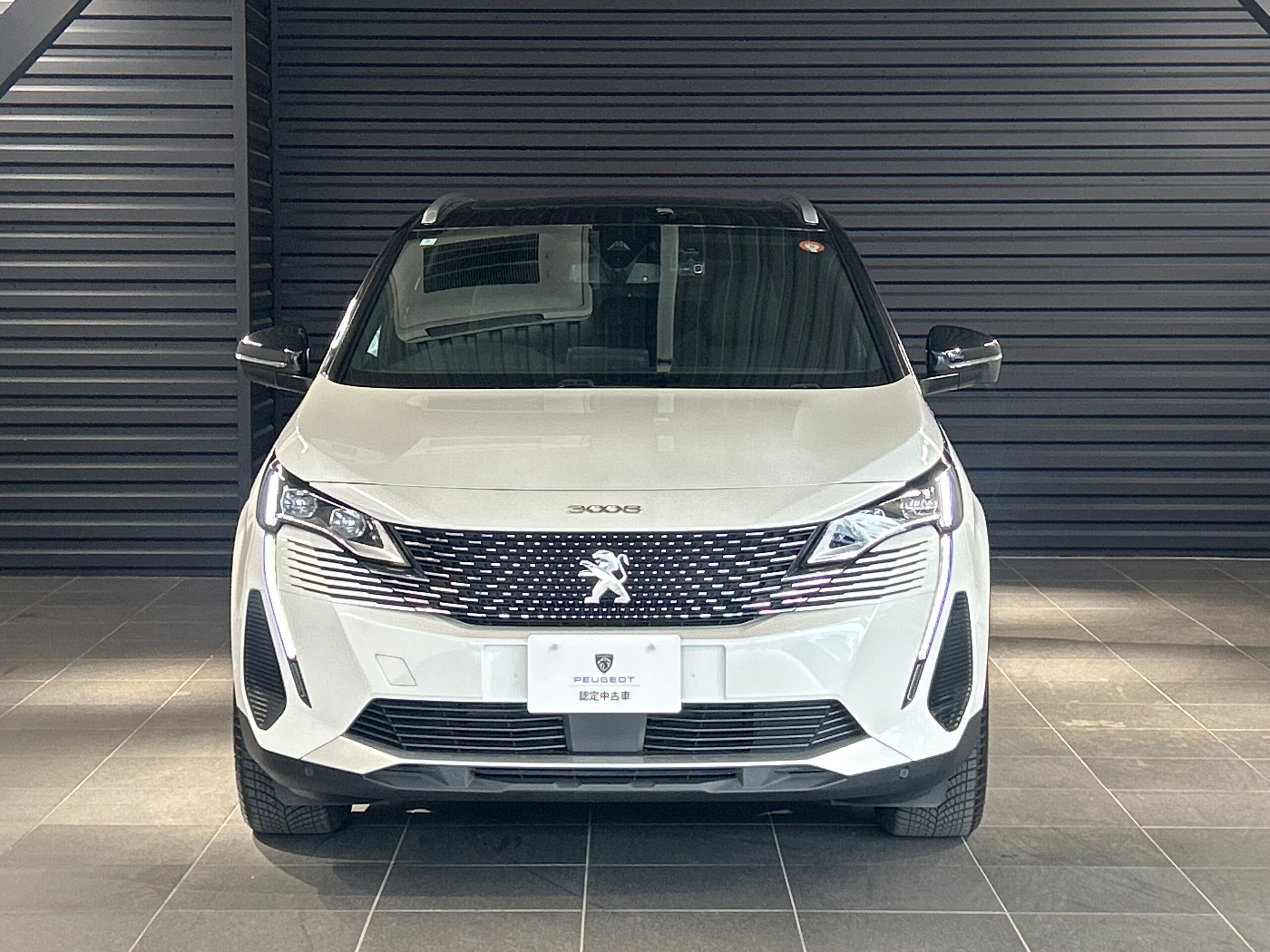 Peugeot 3008 GT — photo 8