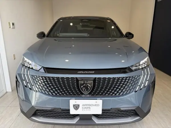 2025 Peugeot 3008 — photo 2