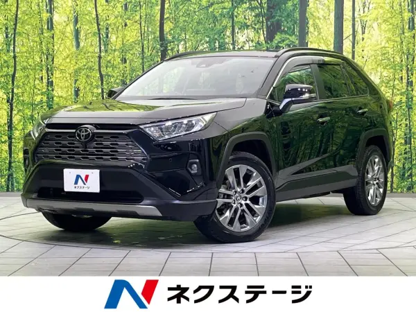 Toyota RAV4 2.0 G Z Package 4WD