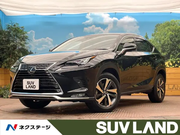 Lexus NX 300 i Package