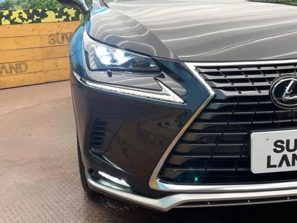 Lexus NX 300 i Package — photo 8