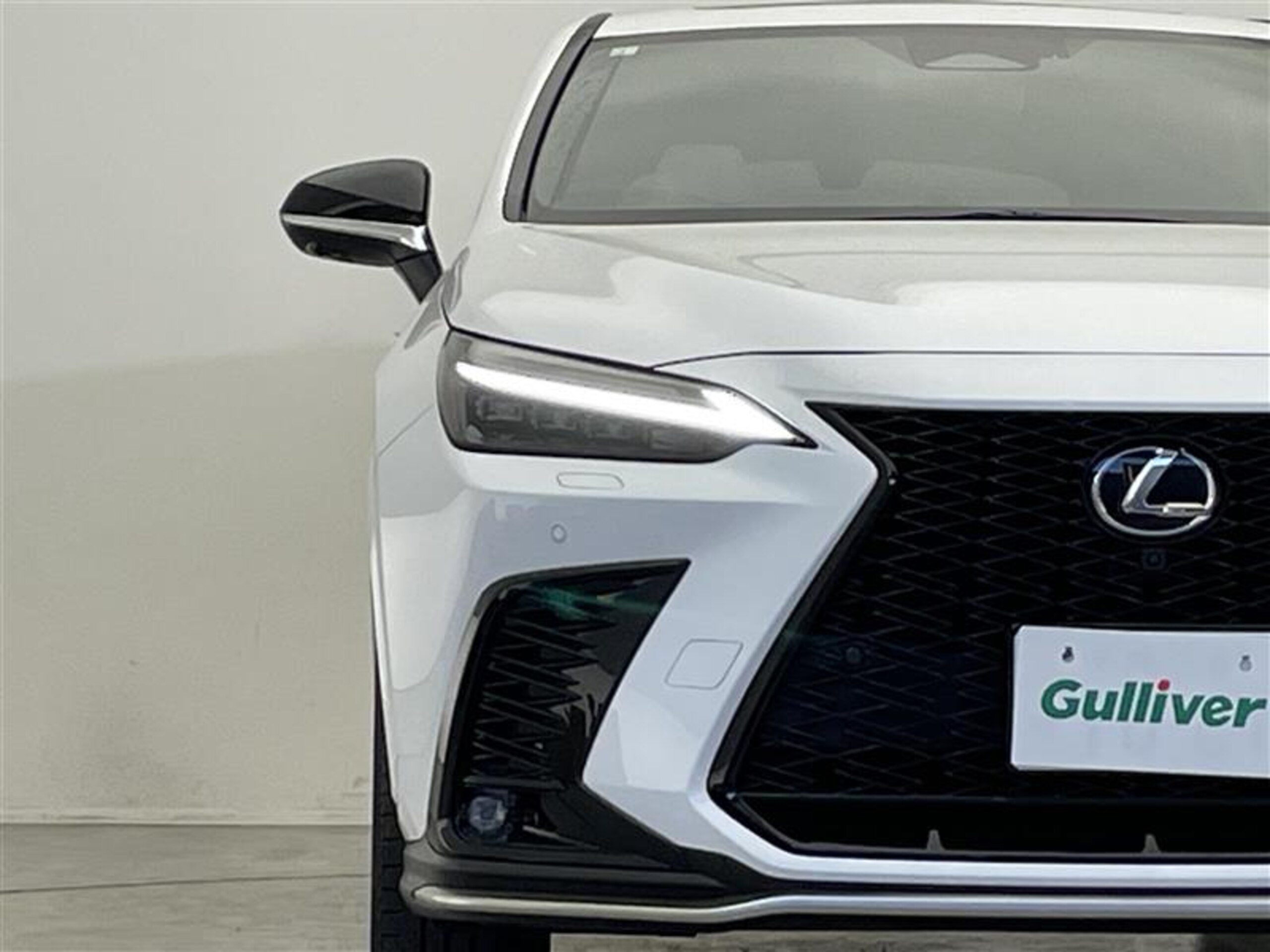 Lexus NX 350h F Sport — photo 9