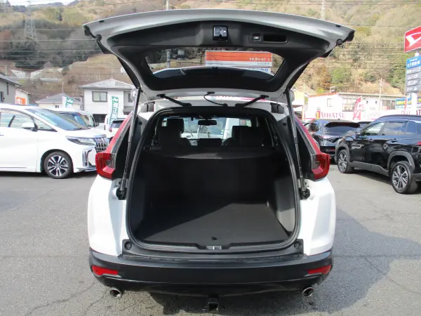 Honda CR-V 1.5 EX Black Edition — photo 8