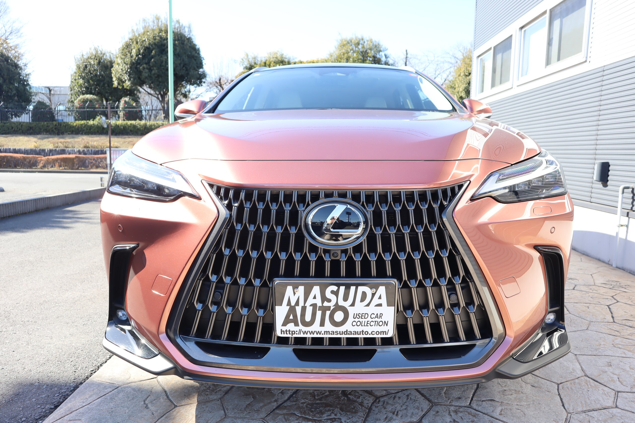 2025 Lexus Nx — photo 2