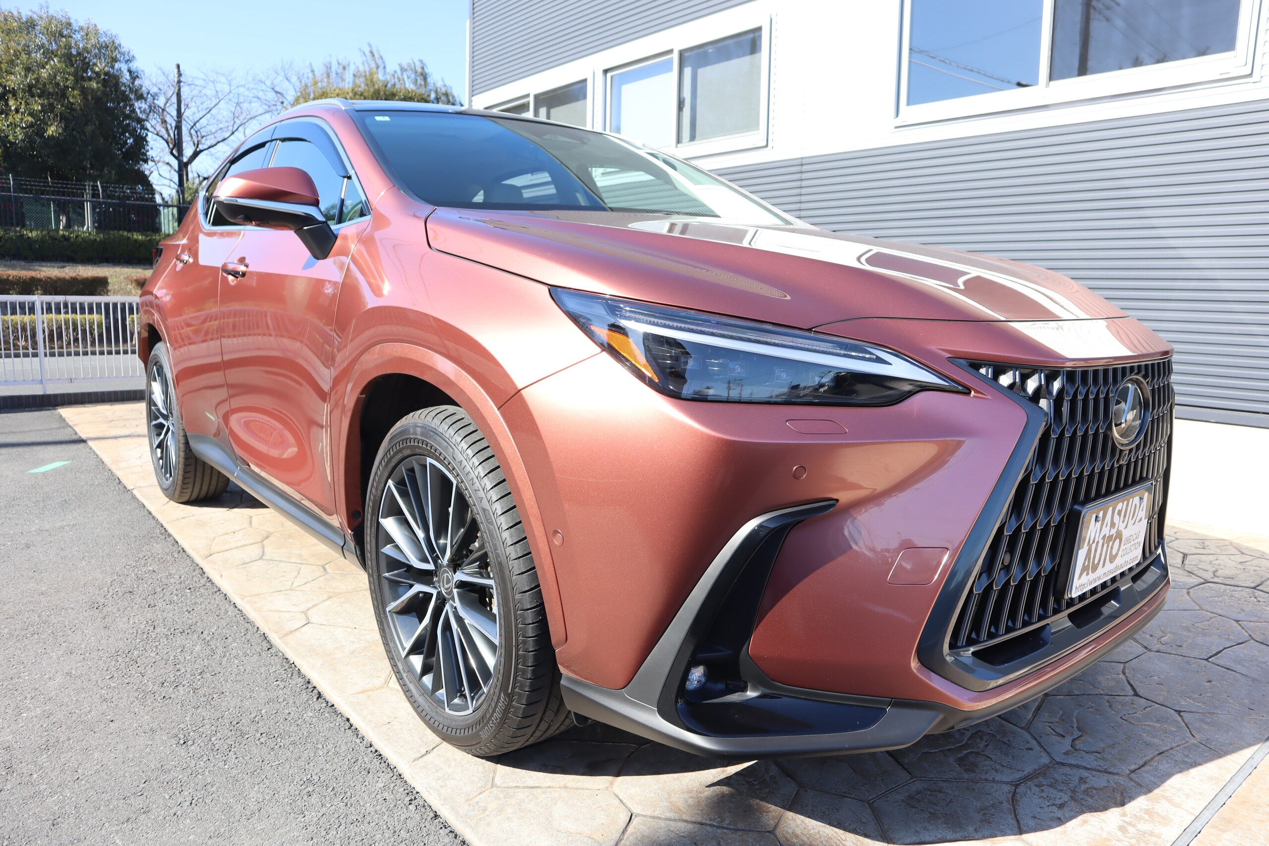 2025 Lexus Nx — photo 3