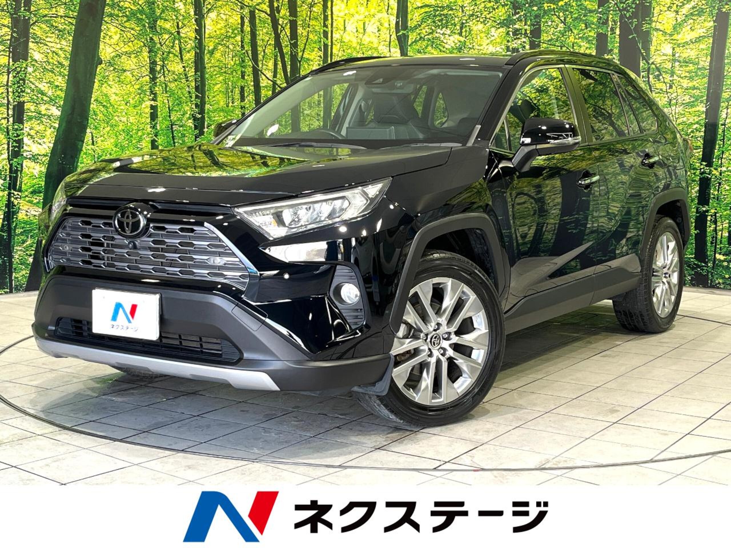 Toyota RAV4 2.0 G Z Package 4WD