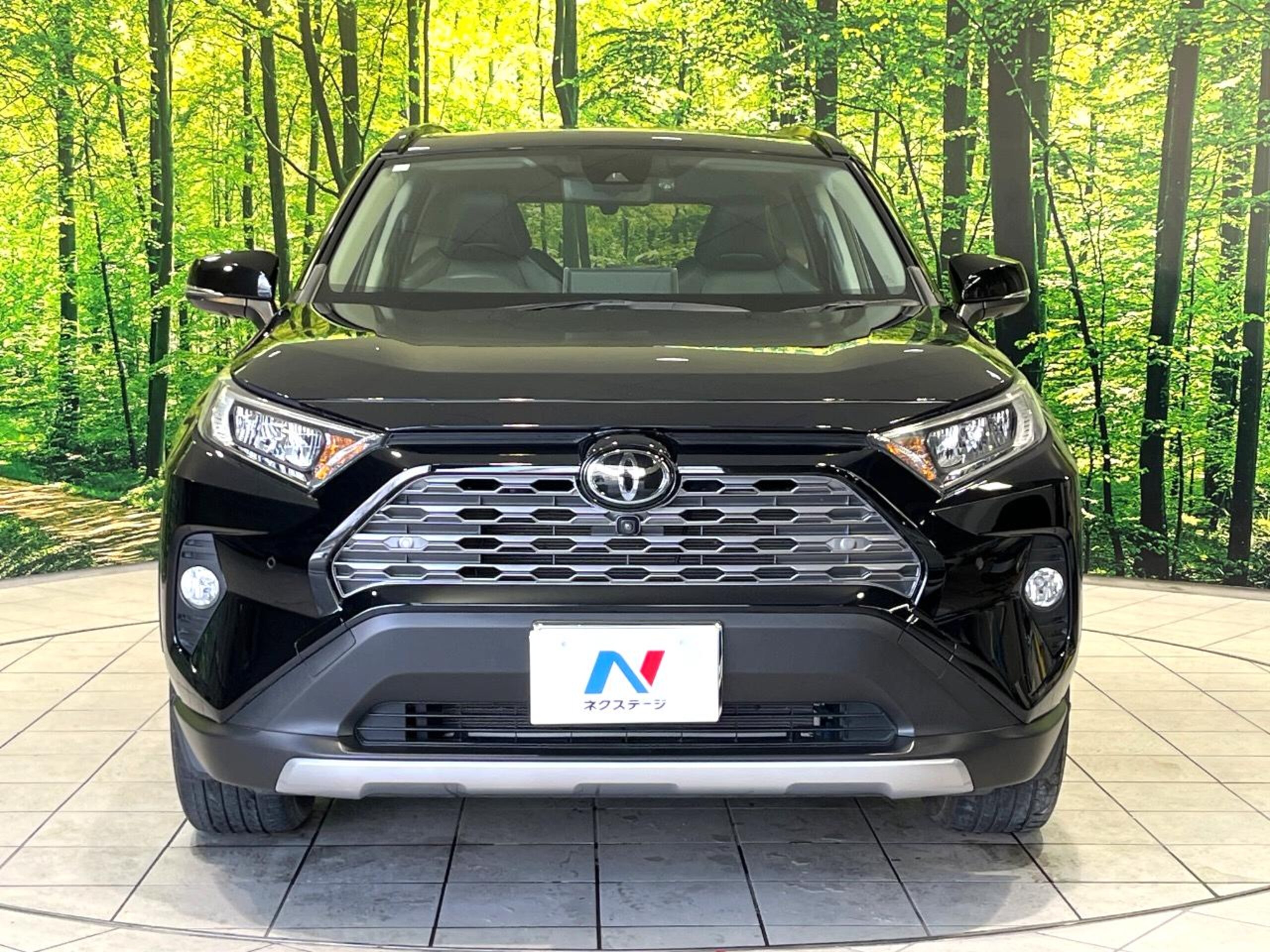 Toyota RAV4 2.0 G Z Package 4WD — photo 8