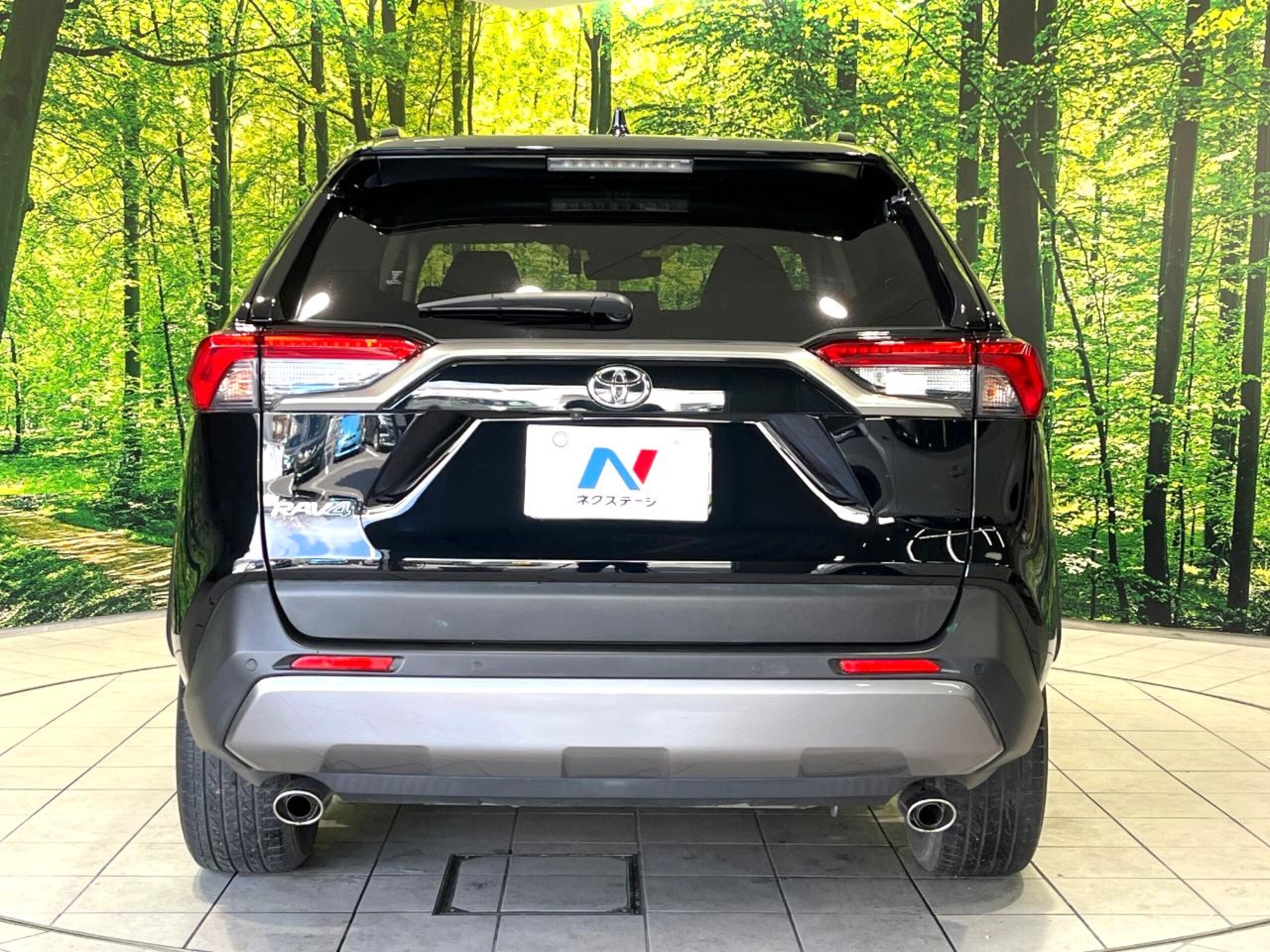 Toyota RAV4 2.0 G Z Package 4WD — photo 9