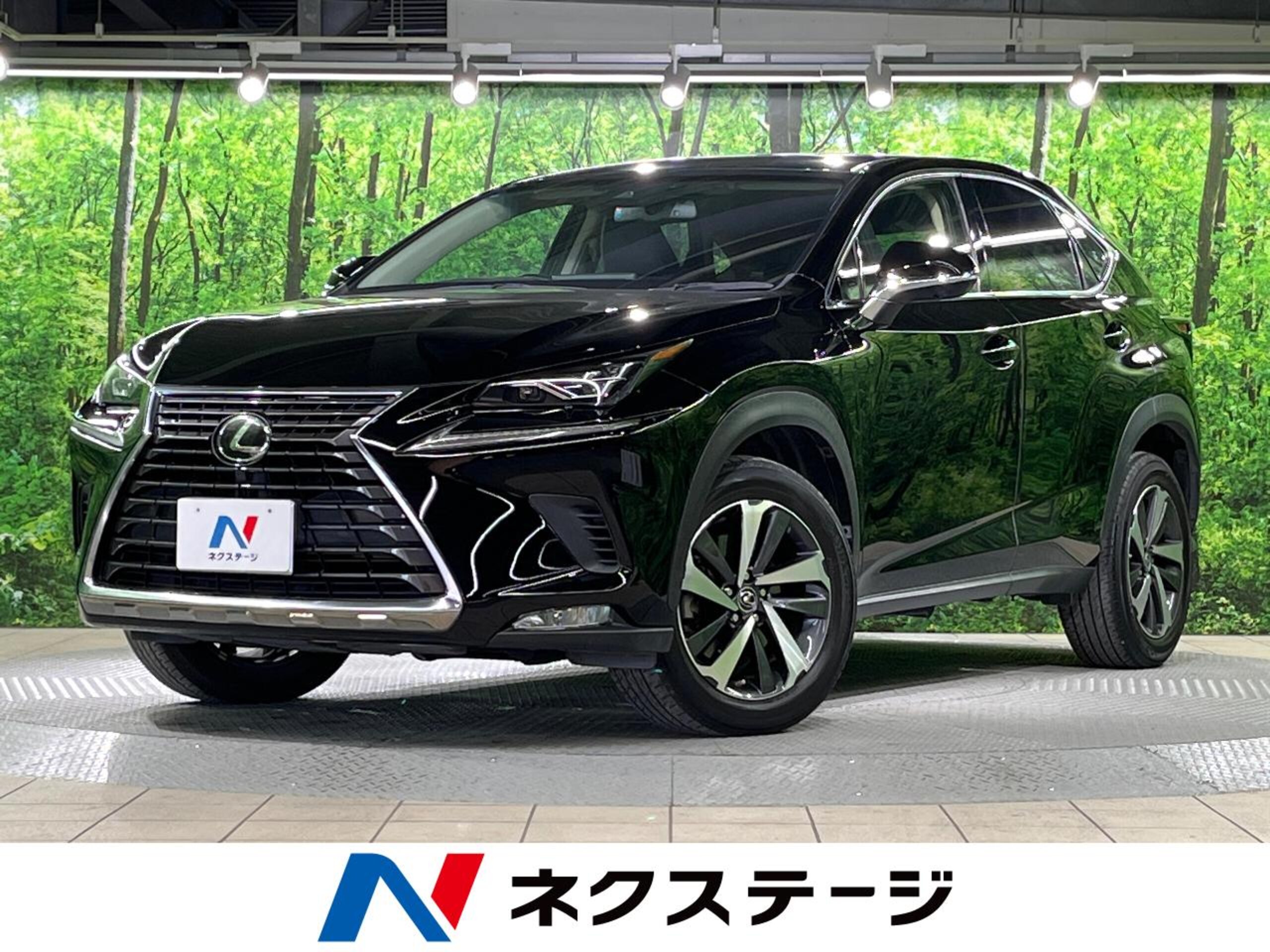 Lexus NX 300 I Package