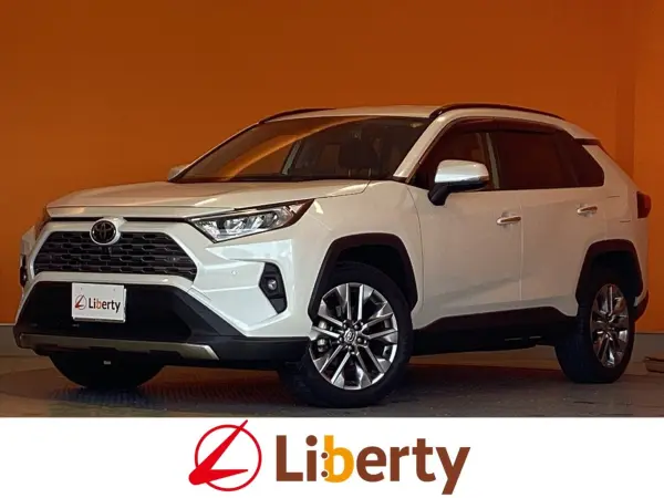 Toyota RAV4 2.0 G Z Package 4WD