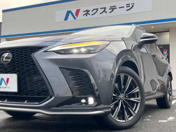 Lexus NX 350h F Sport — photo 8