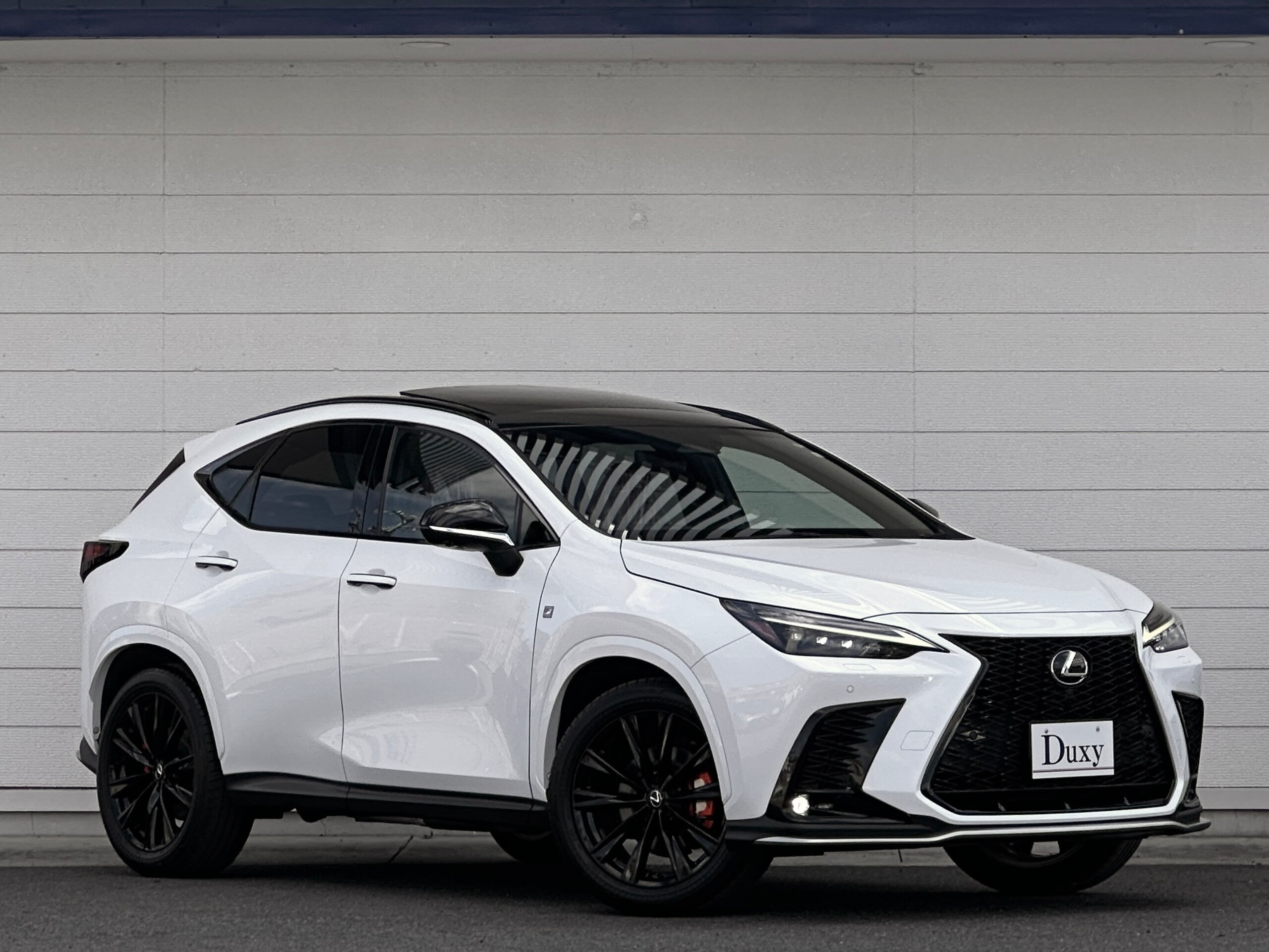 Lexus NX 350h F Sport 4WD — photo 8