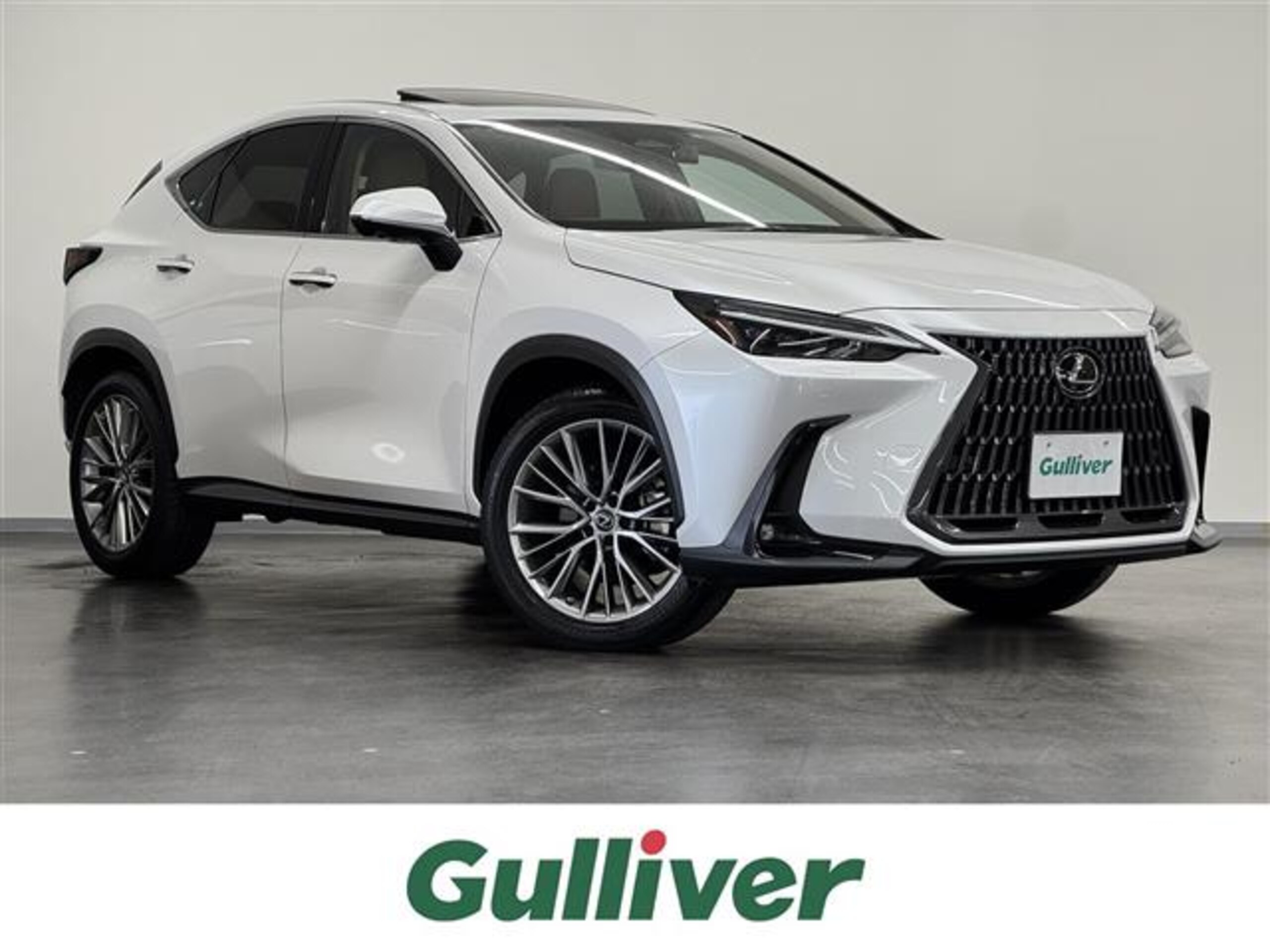 Lexus NX 350h Version L