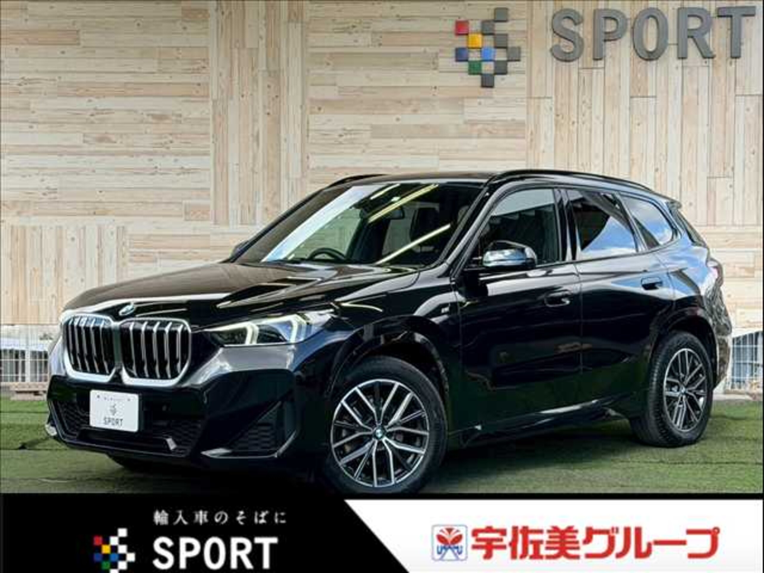 BMW X1 xDrive20i M Sport DCT 4WD
